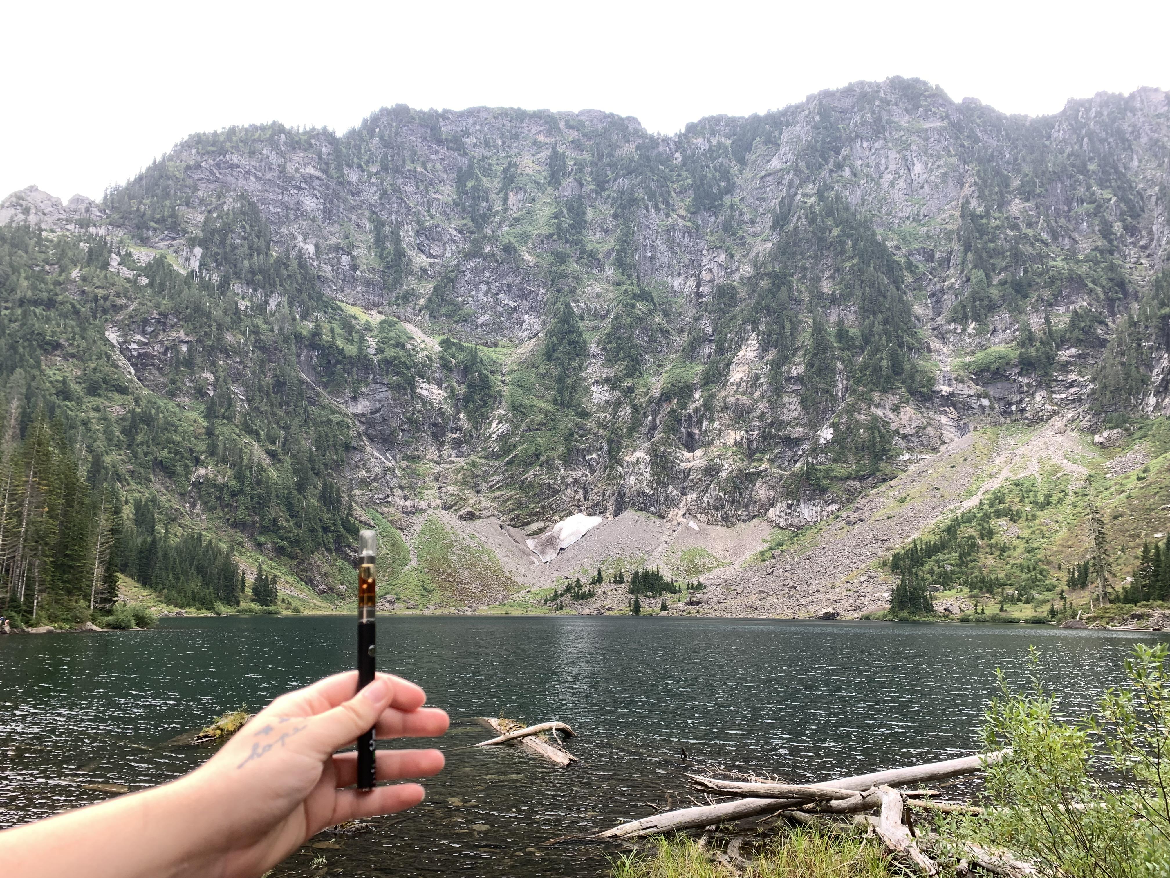Lake 22 Trail in Granite Falls, WA. A good day r/trees