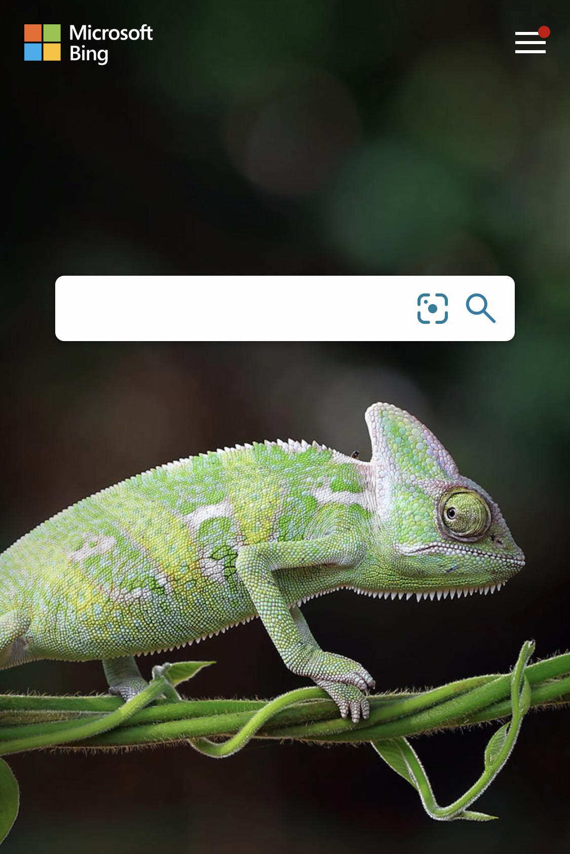Why does this lizard look like Morty? r/rickandmorty