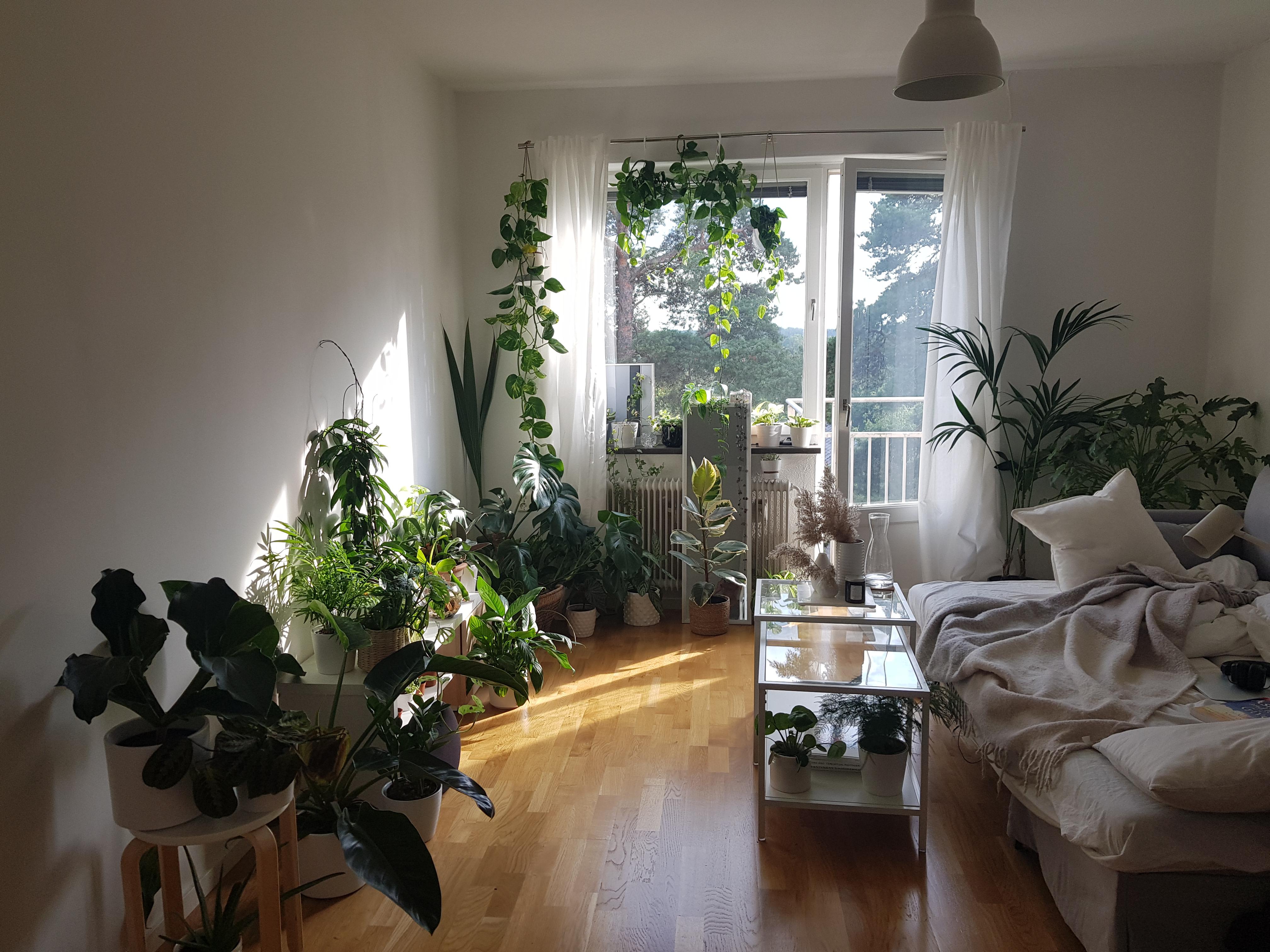 I posted a photo of my room thinking it looked lush when I had 13