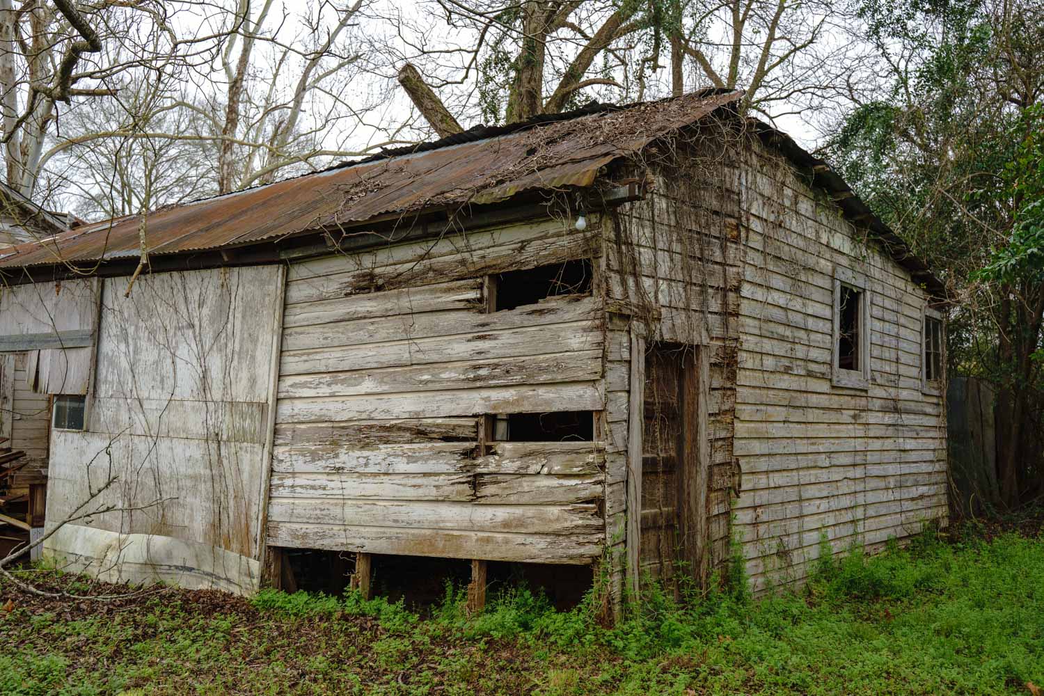 Abandoned house in Nacogdoches, TX (link to more photos in comments