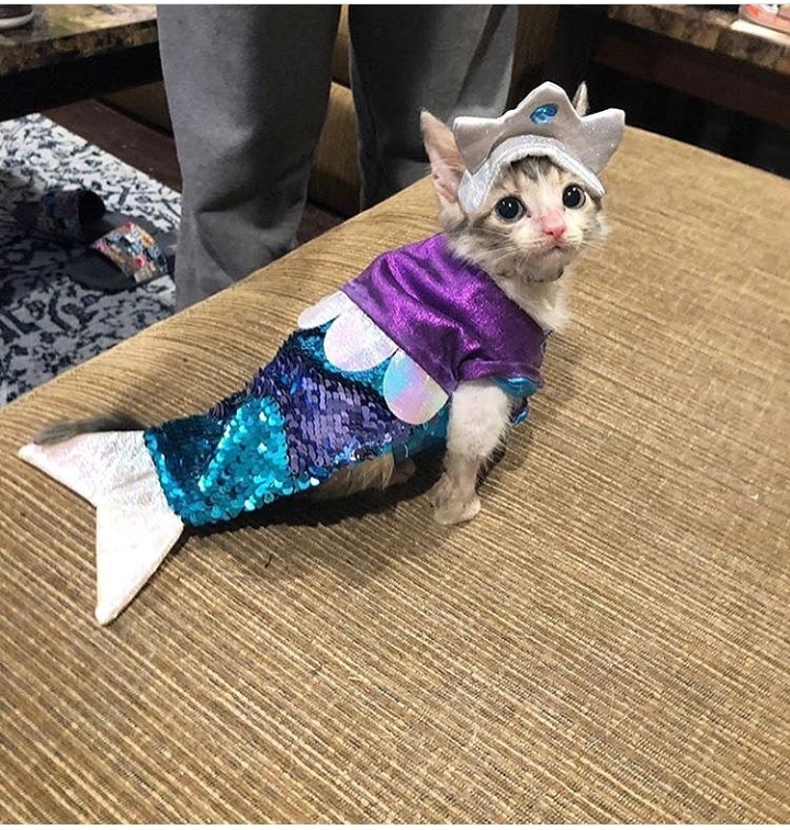 This is called Catfishing on Dating apps! r/aww