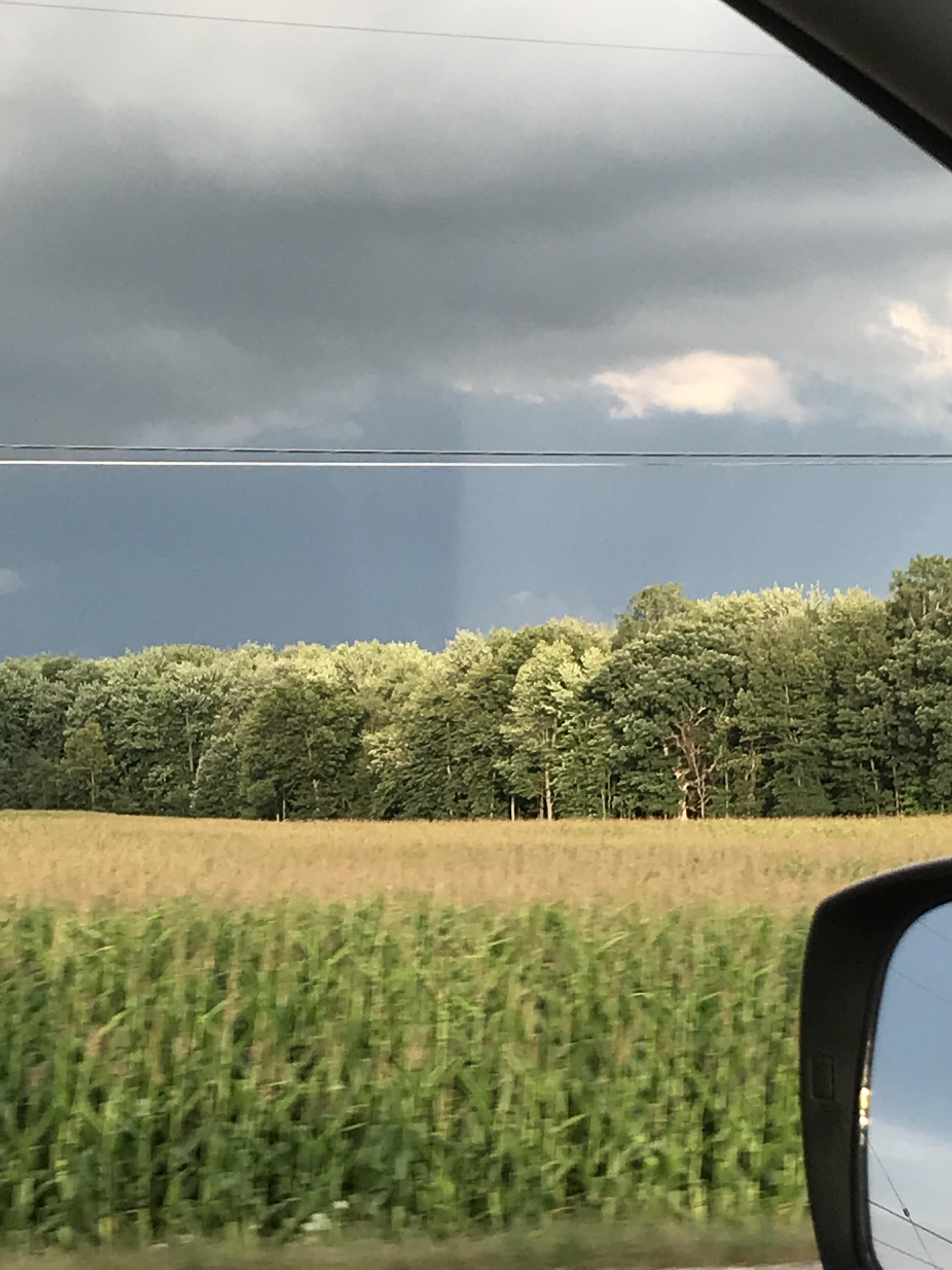 A perfect line where the rain stops r/mildlyinteresting