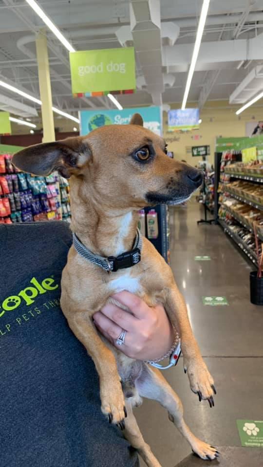 What’s the strangest thing you’ve ever found while dashing? Mine is now