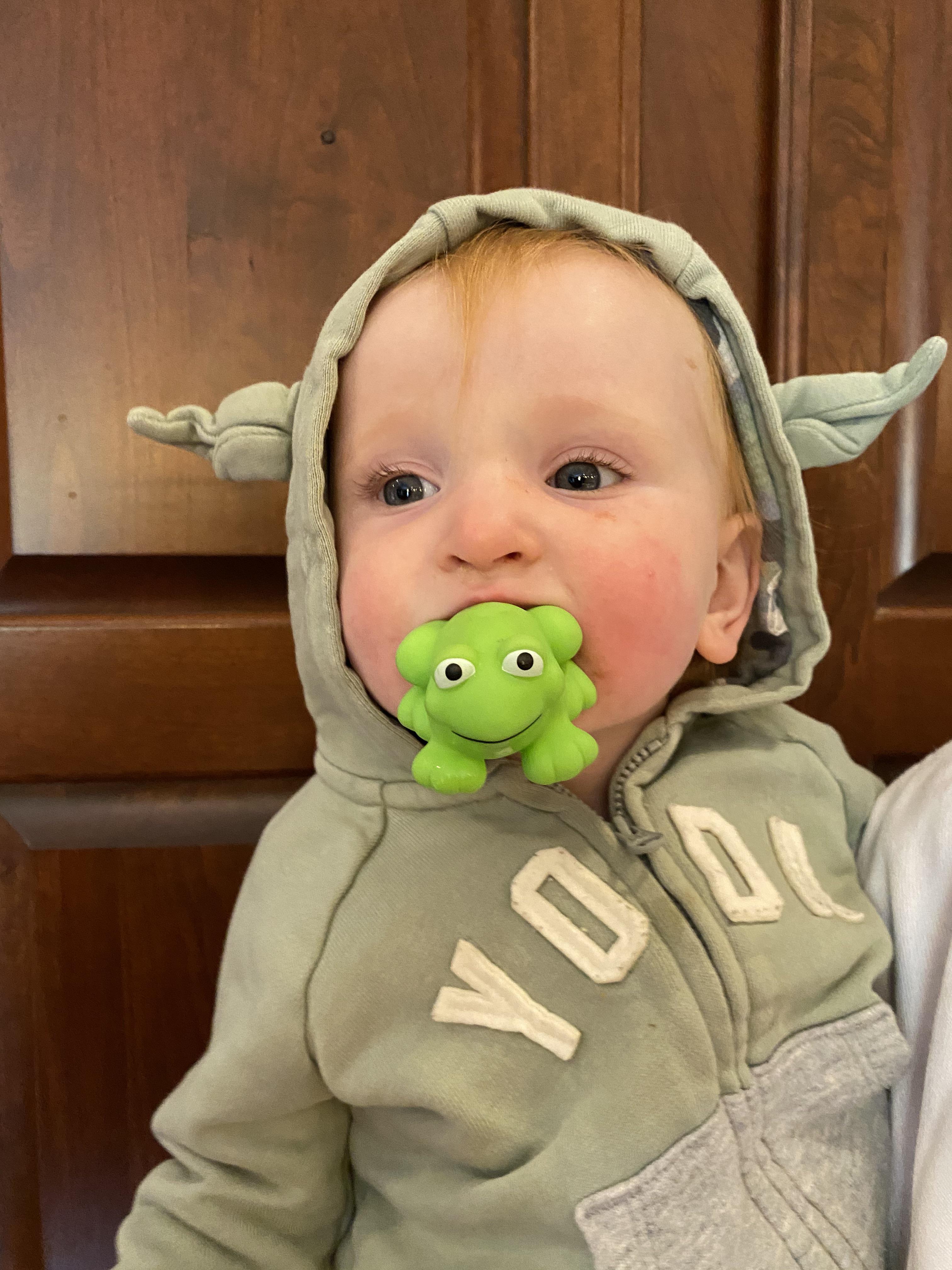 My little baby Yoda, eating a frog. r/TheMandalorianTV