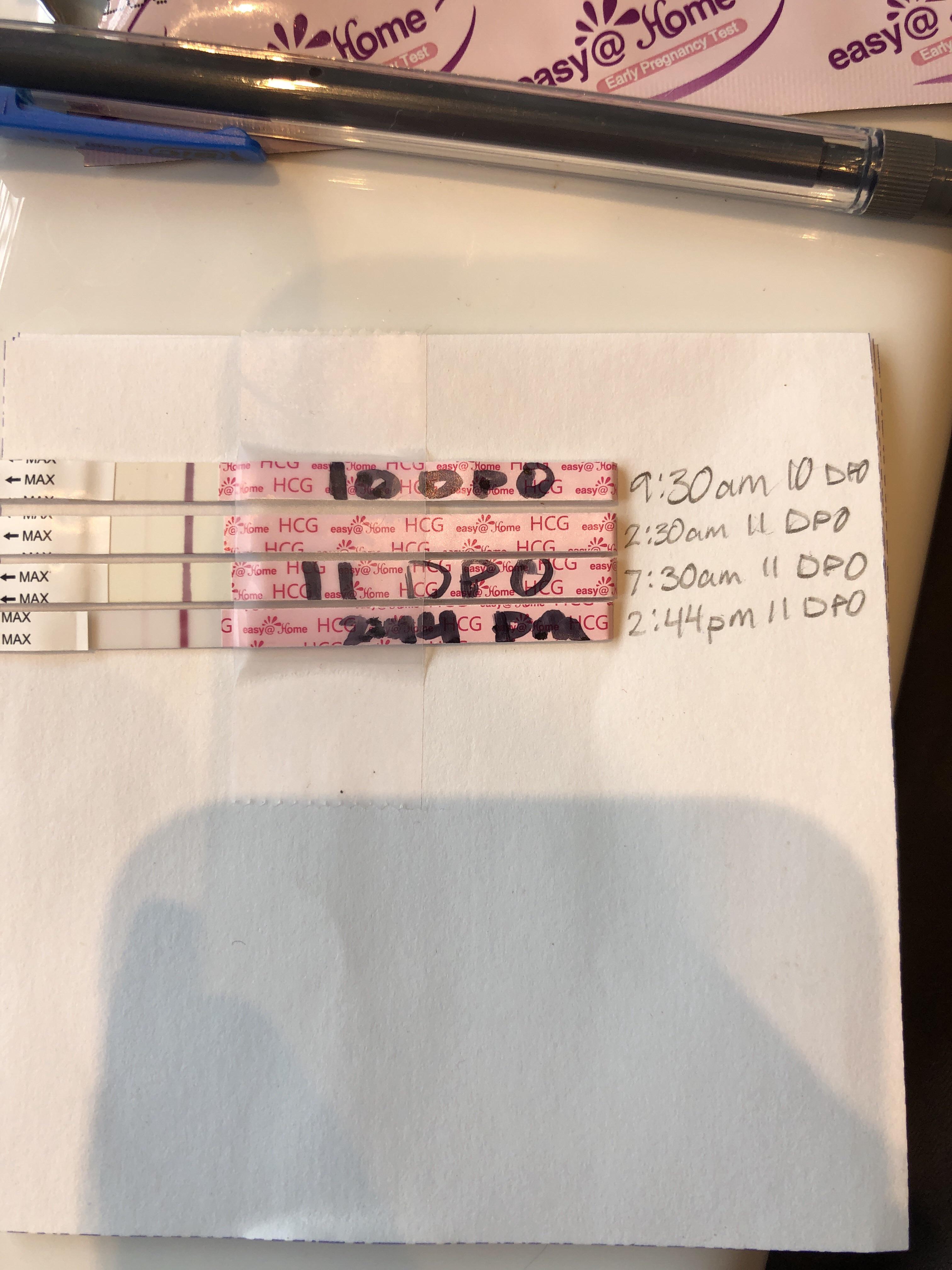 EasyHome 1011 dpIUI when I got a line yesterday I thought it could