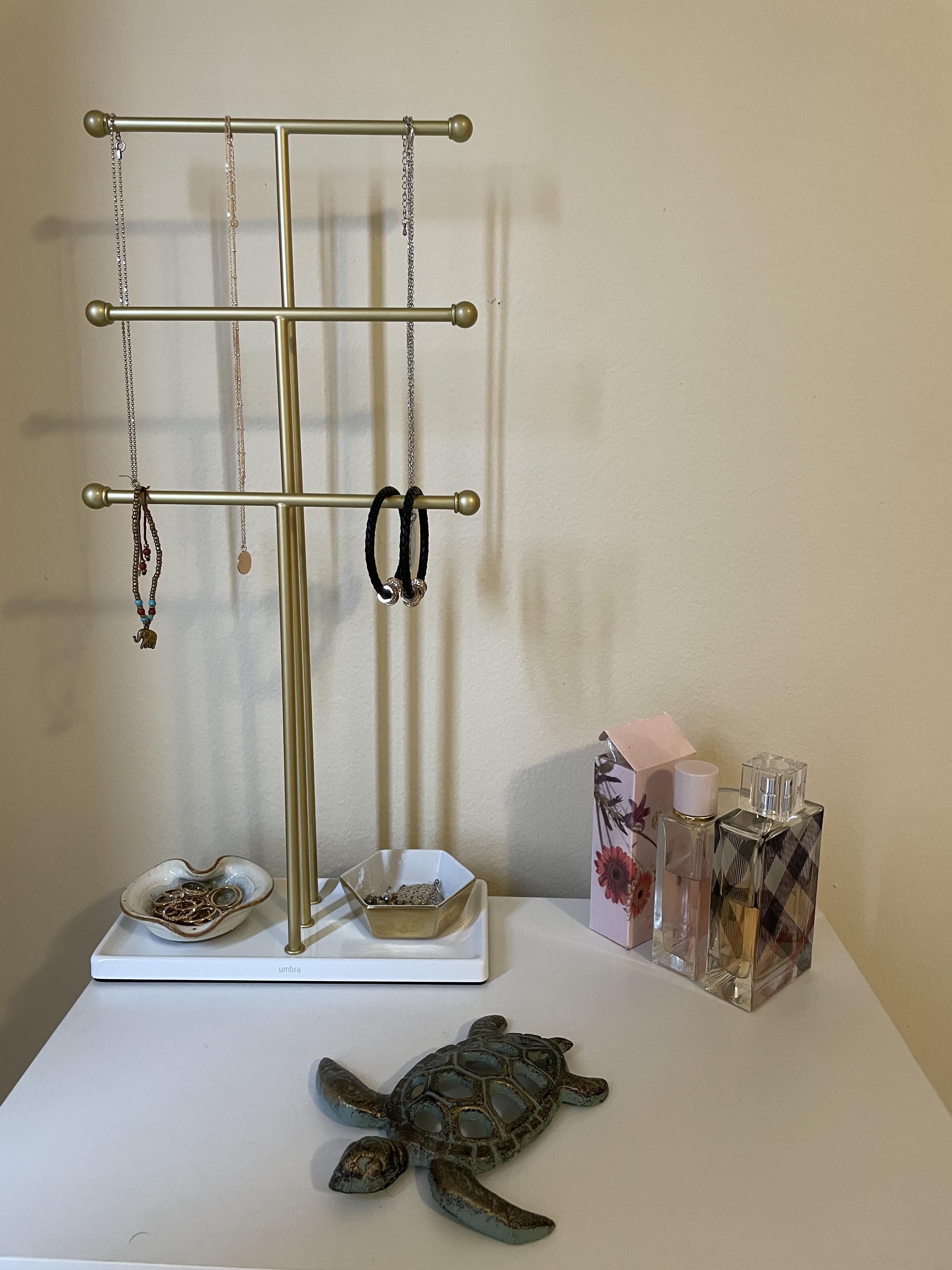 Loving the new jewelry organizers... the turtle is just for fun ) r