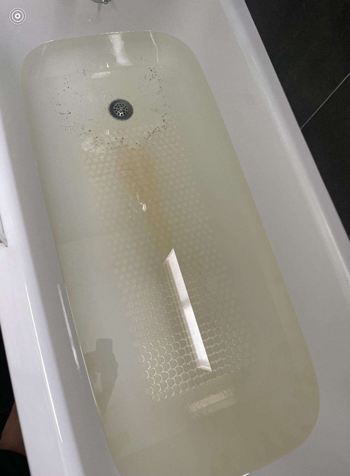 Water backing out from the shower drain every 23 months. Followed by