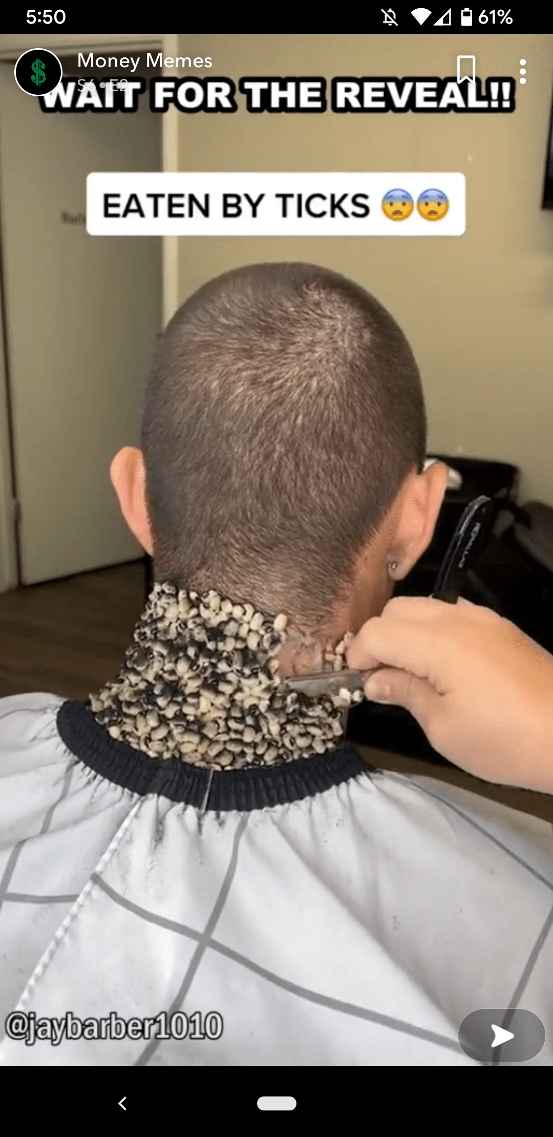 Those are black eyed peas... facepalm