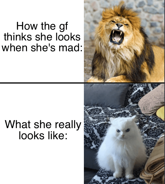 She Mad Meme