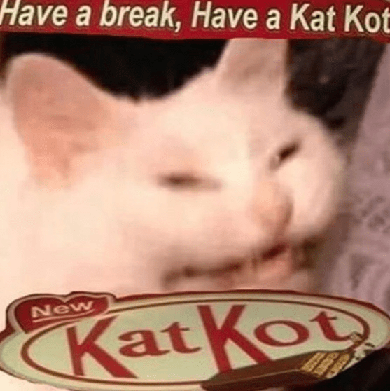 Cat Memes worth investment? r/MemeEconomy