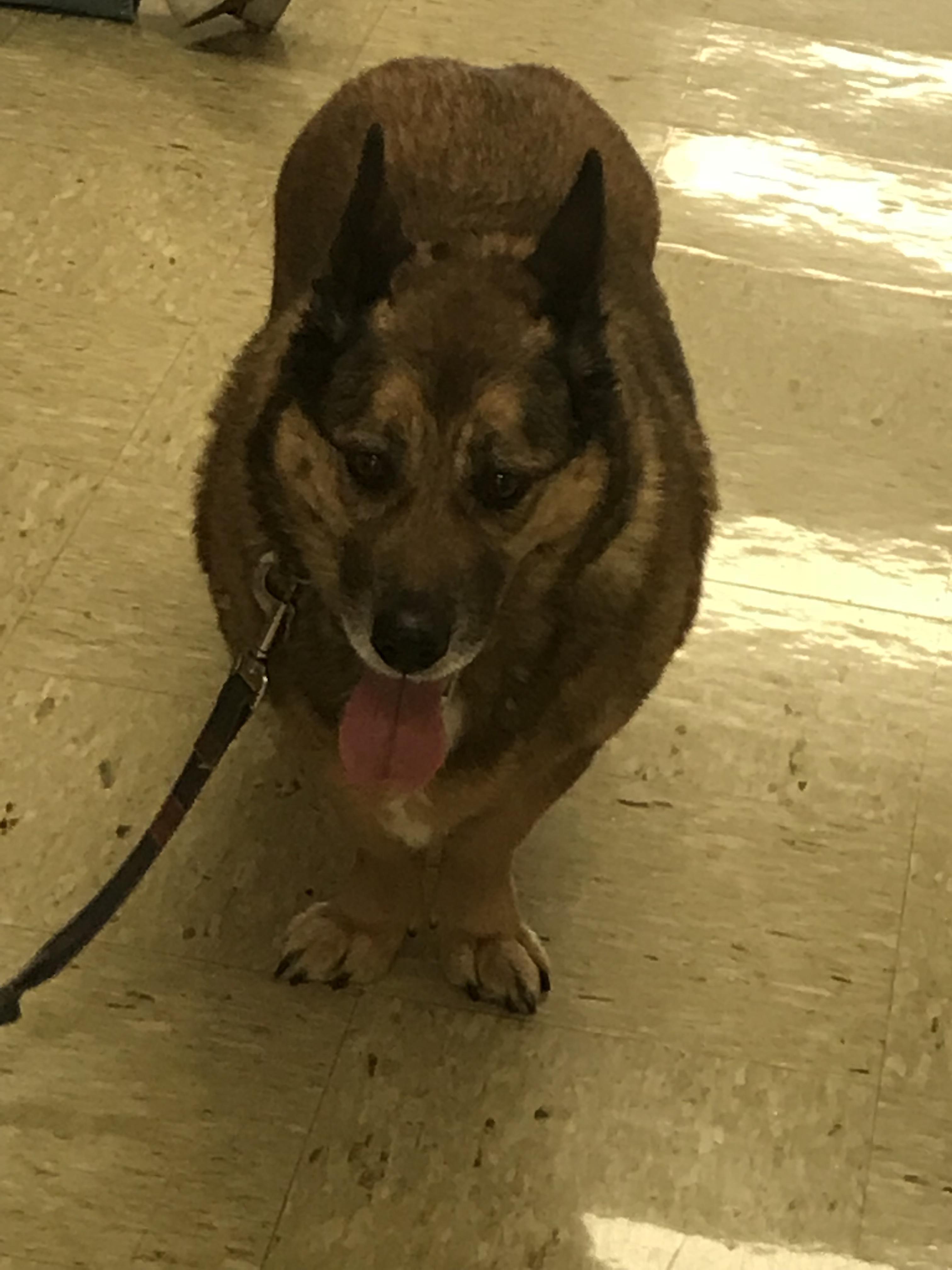 Didn’t think I needed a mix until today