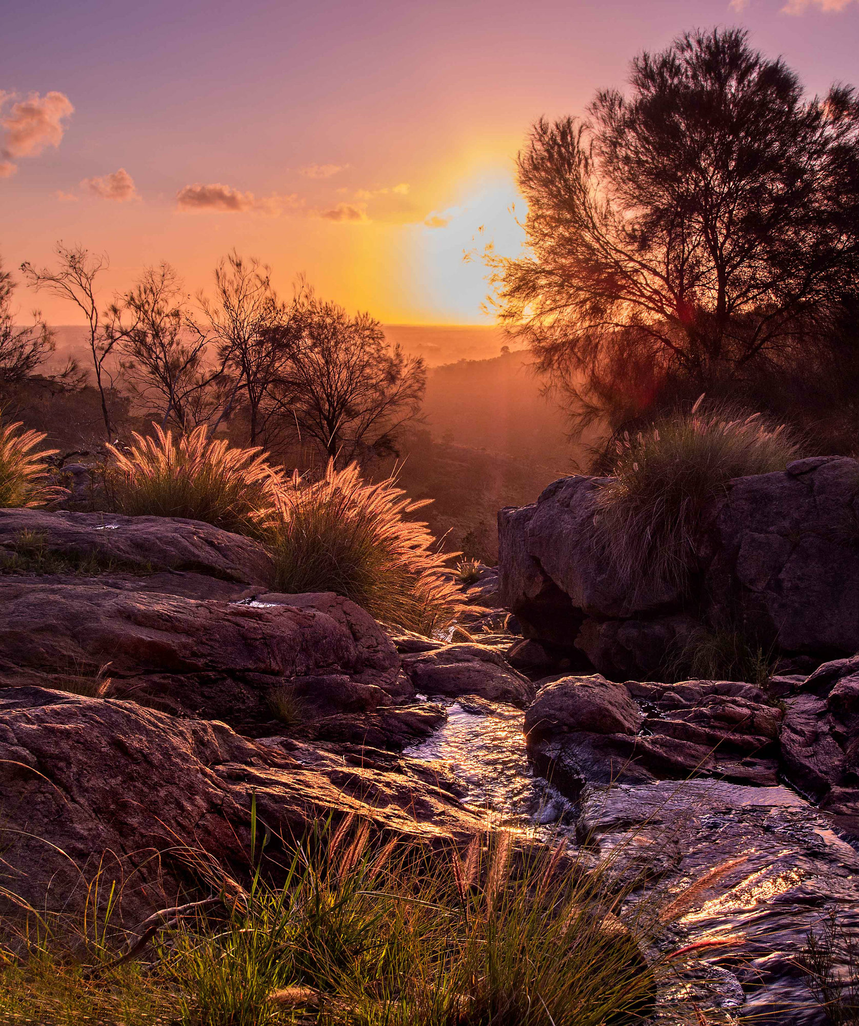 "Serenity" Sunset in the hills of Perth, Western Australia (OC) (1675x2000) r/EarthPorn