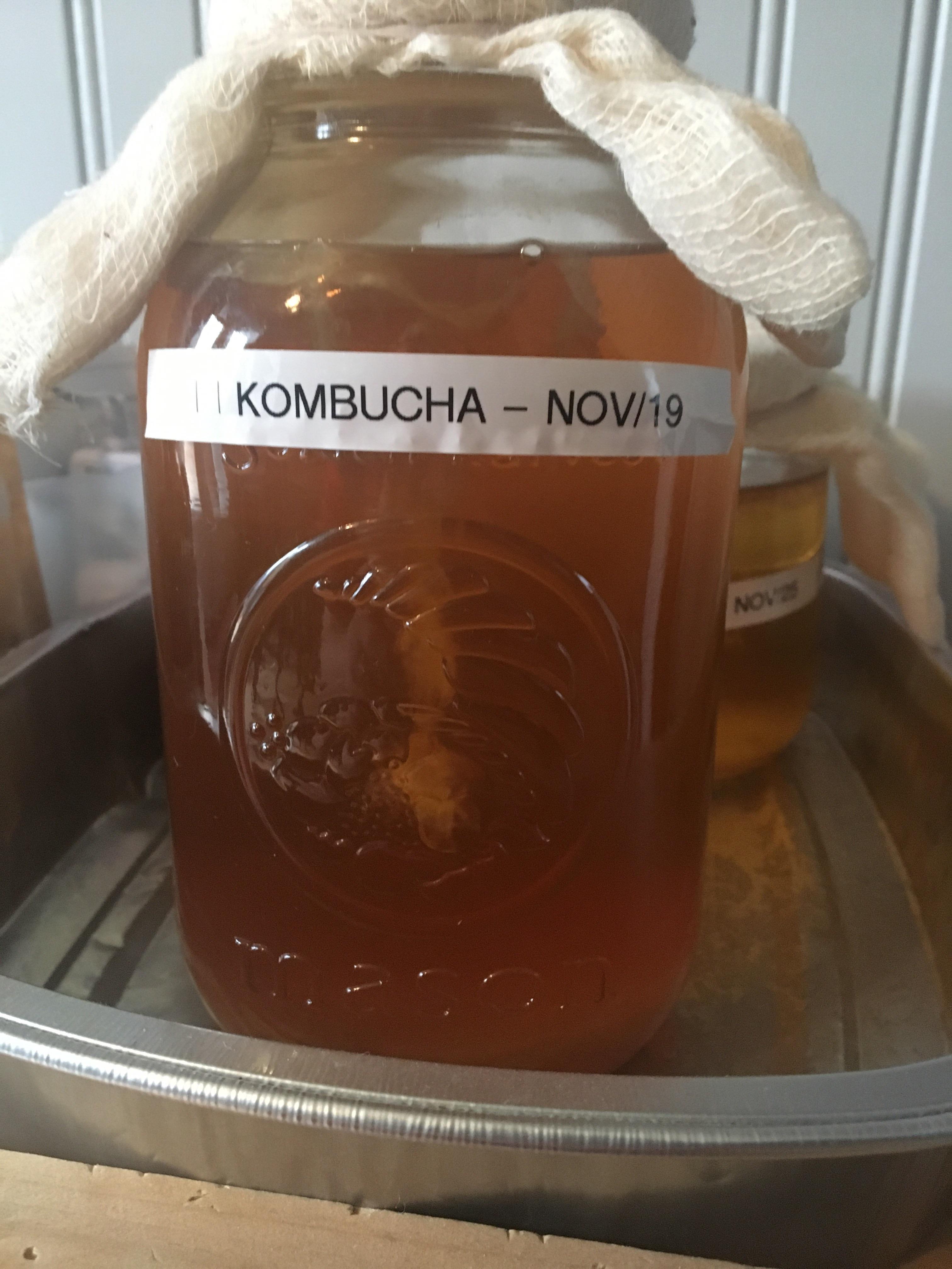 Is the kombucha looking good? What to do about top layer? Leave it