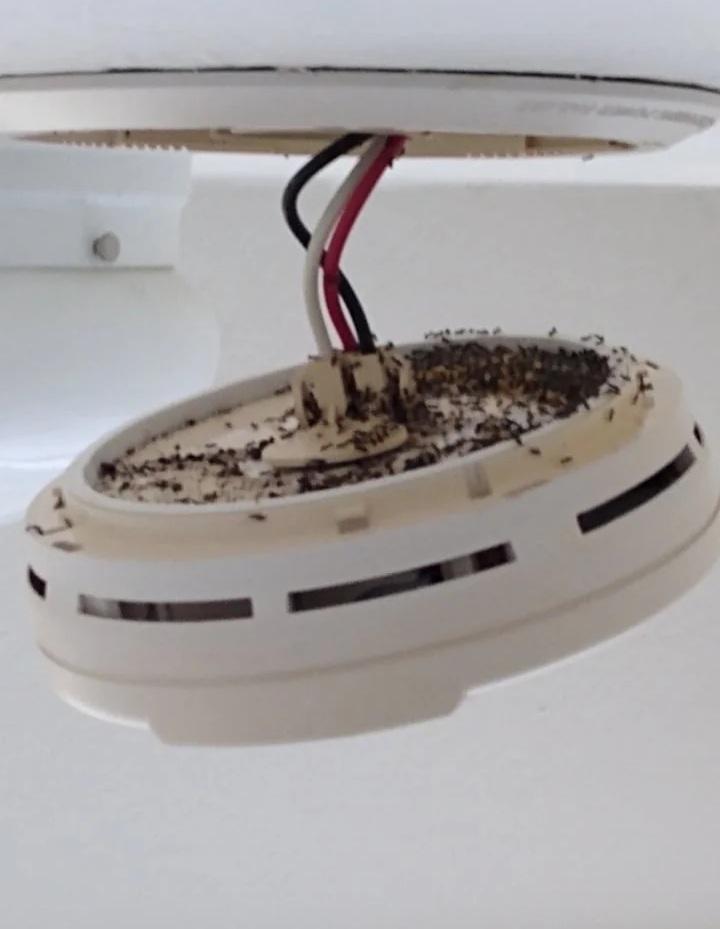 do fire alarms count? r/hardwaregore