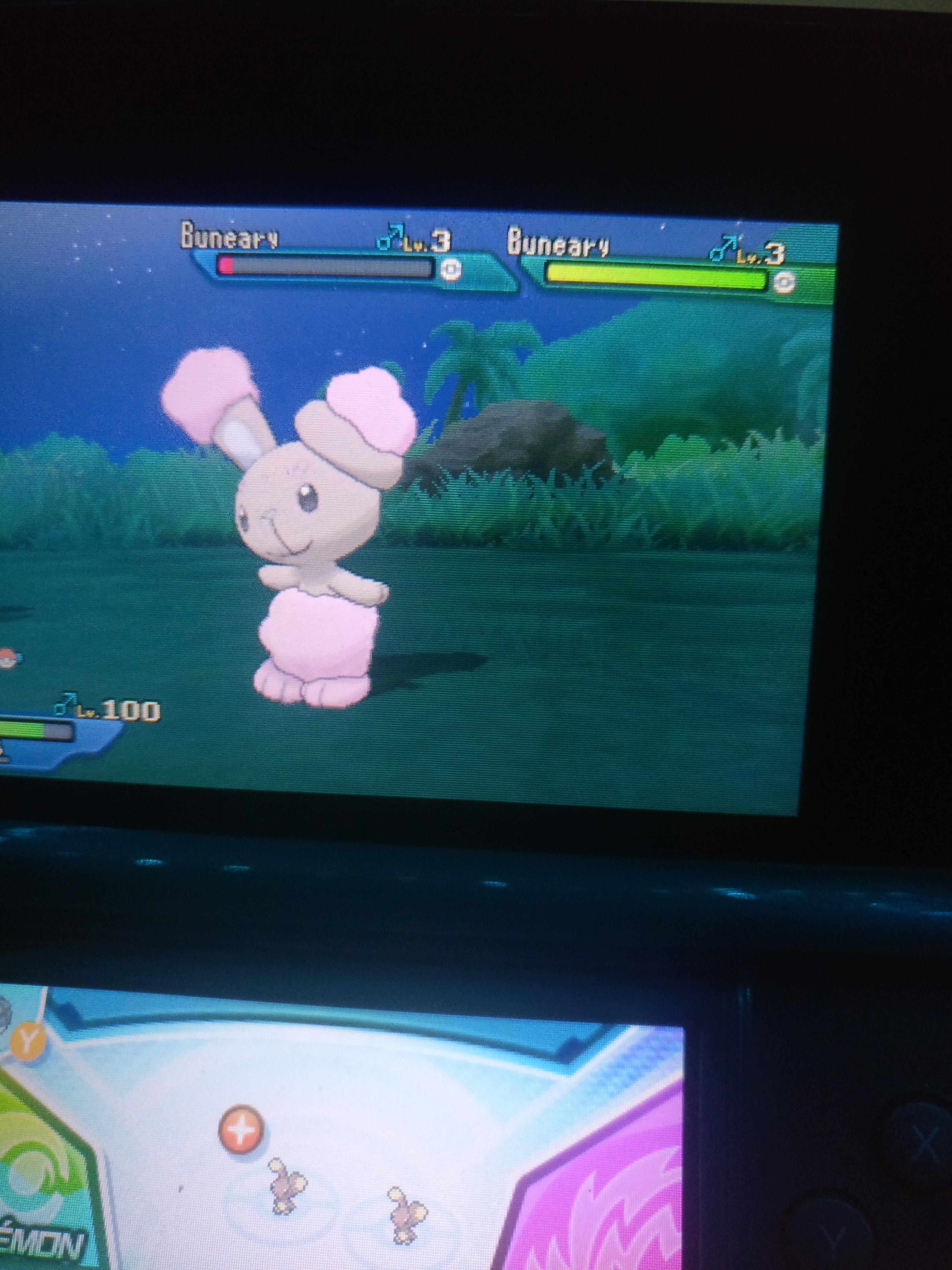 [Gen 7] Shiny Buneary, after 83 SOS encounters. He rocks the candy