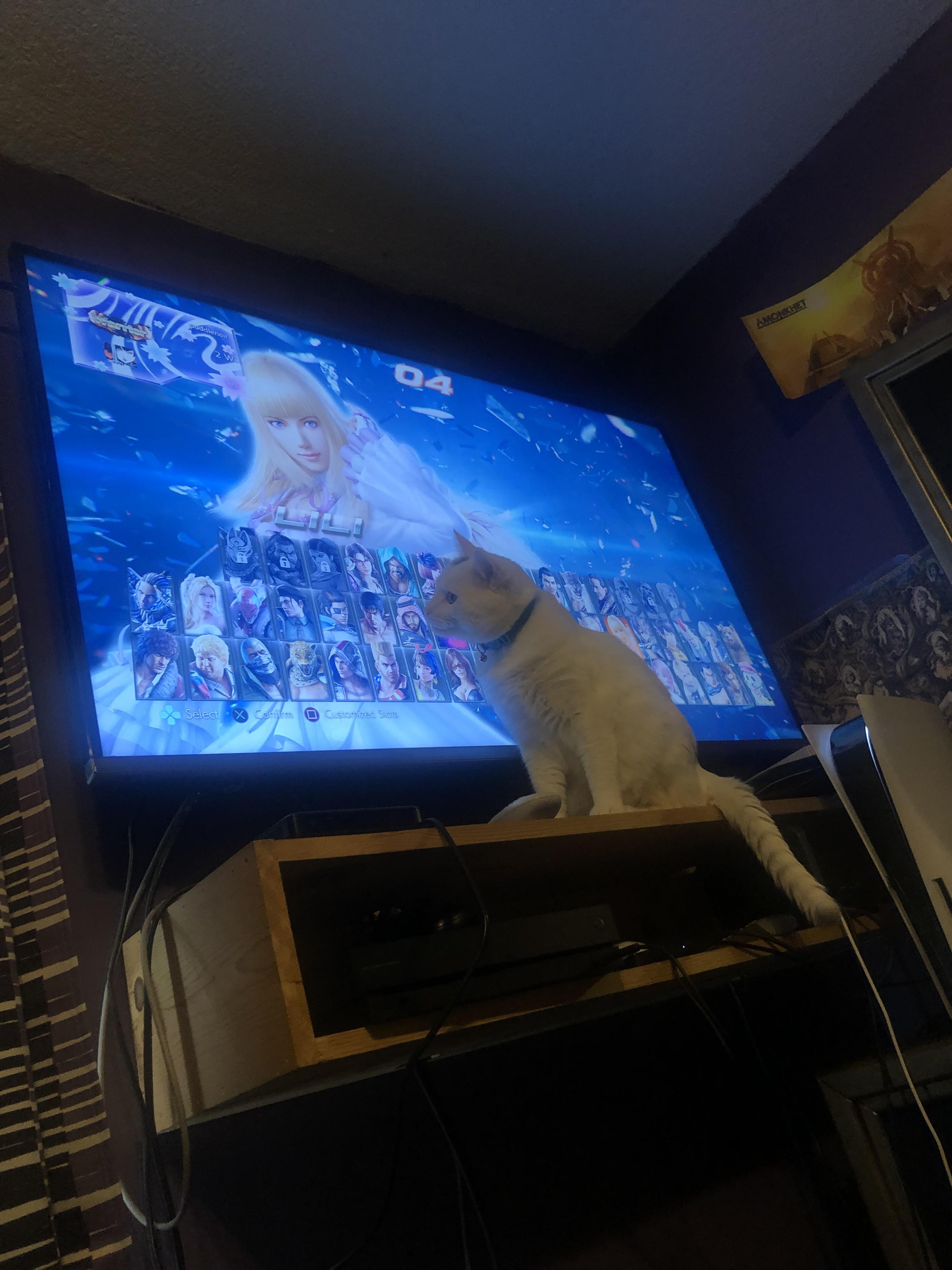 My cat likes watching me play tekken r/Tekken