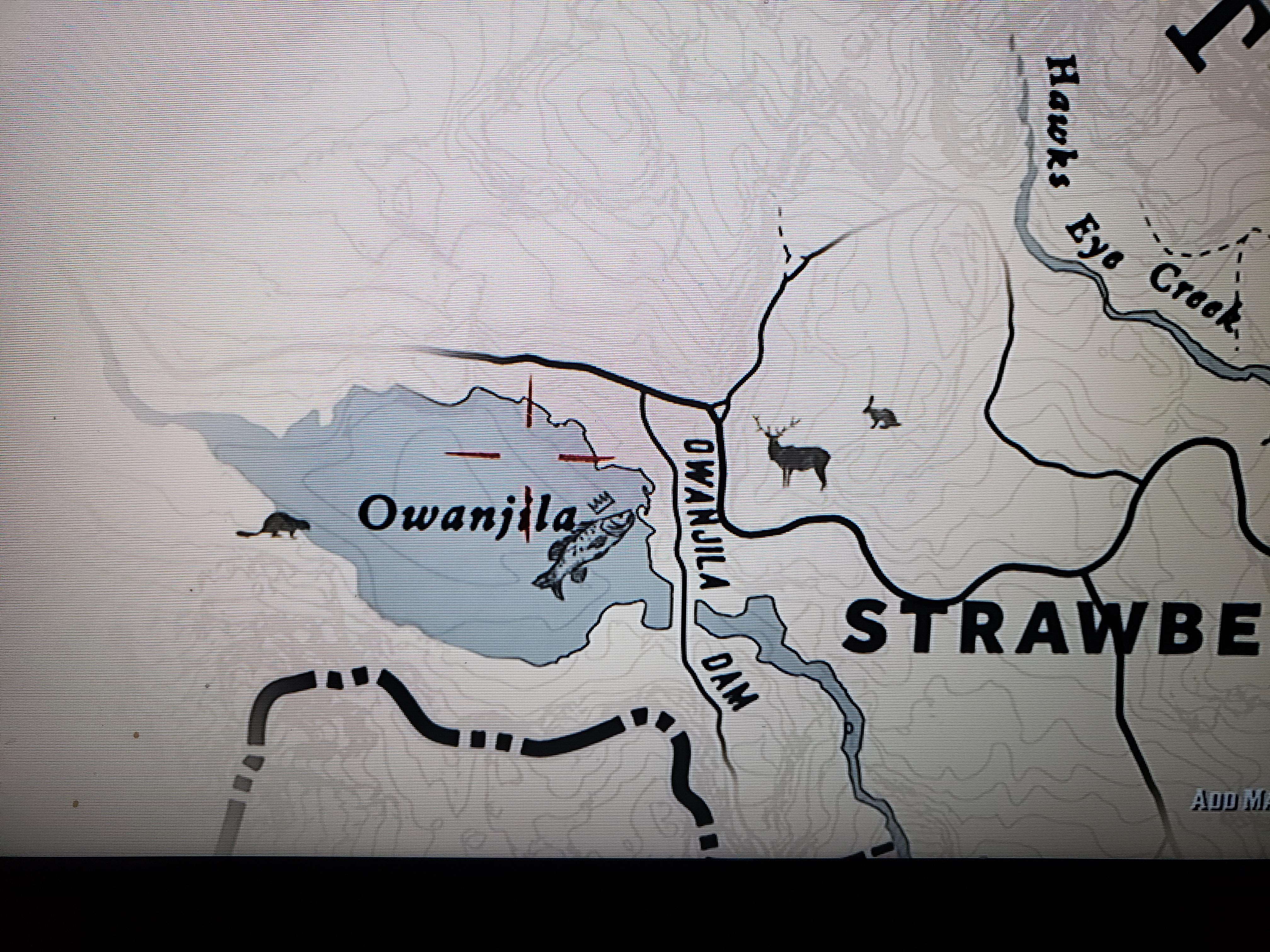 Black Bear spawn location r/reddeadredemption2