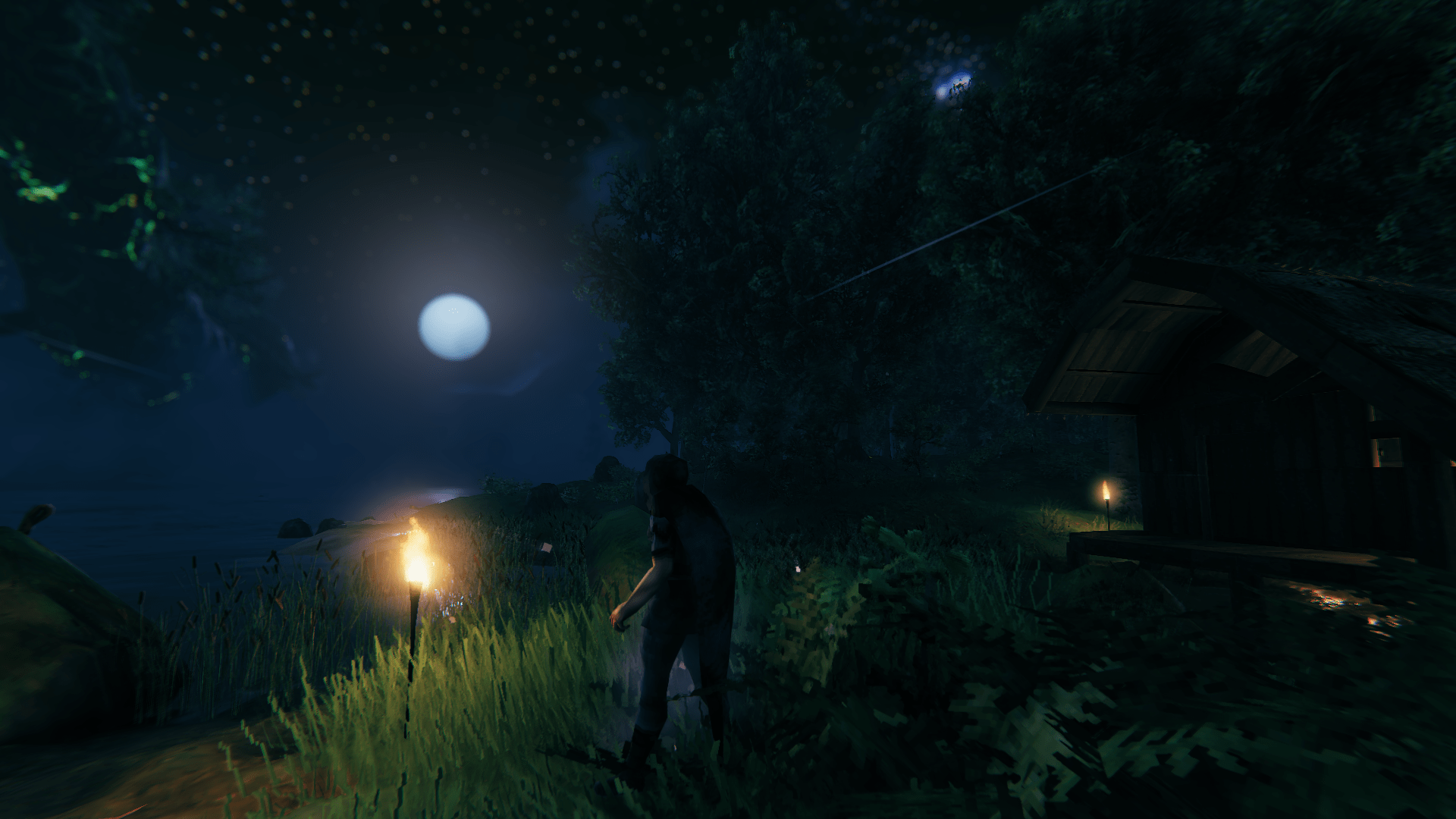 Night view of the lake....so peaceful here. r/valheim
