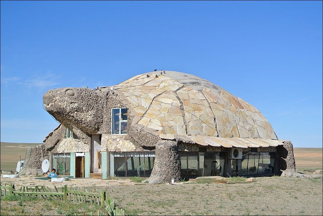 Turtle house..... r/oddlyweird
