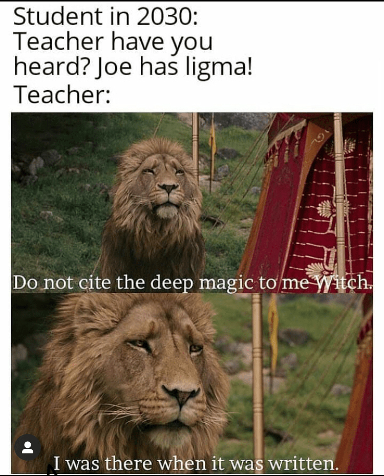 oh man, funny joe mama joke, ha ha