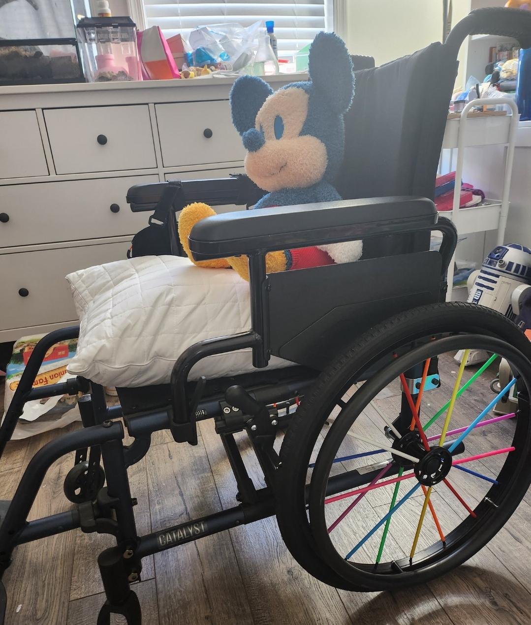 Wheelchair Nerves r/WaltDisneyWorld