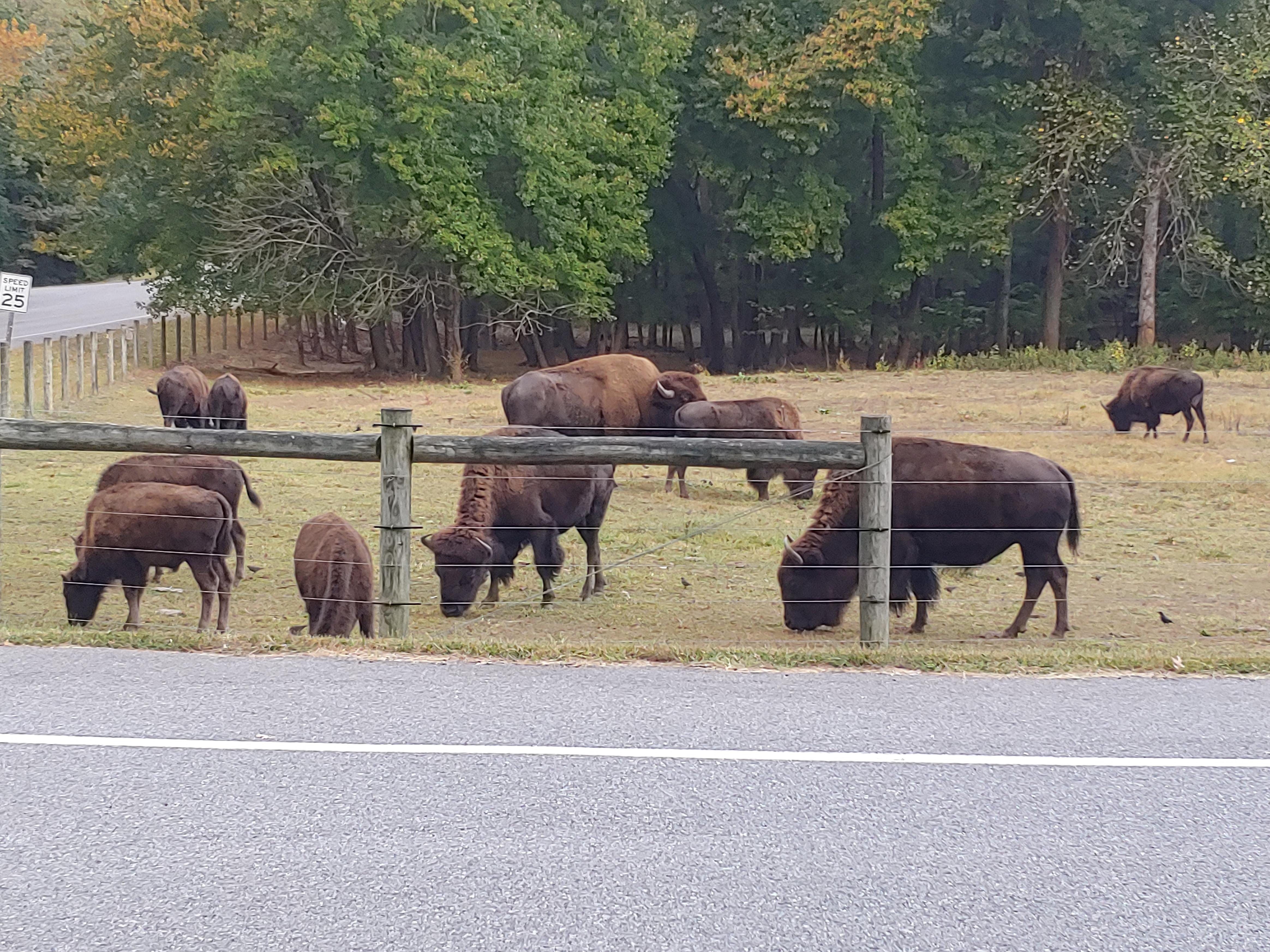 Southern MD r/maryland