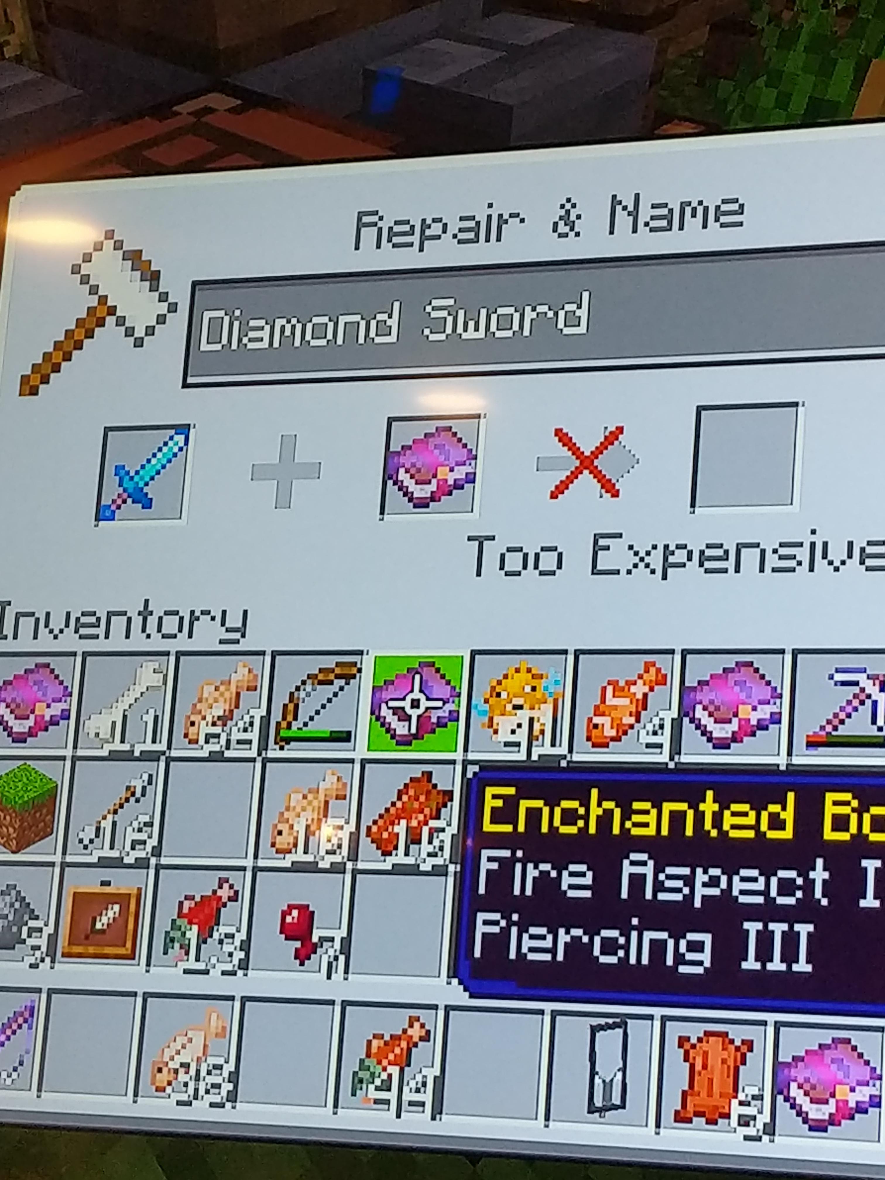 What does "Too Expensive" mean? Minecraft