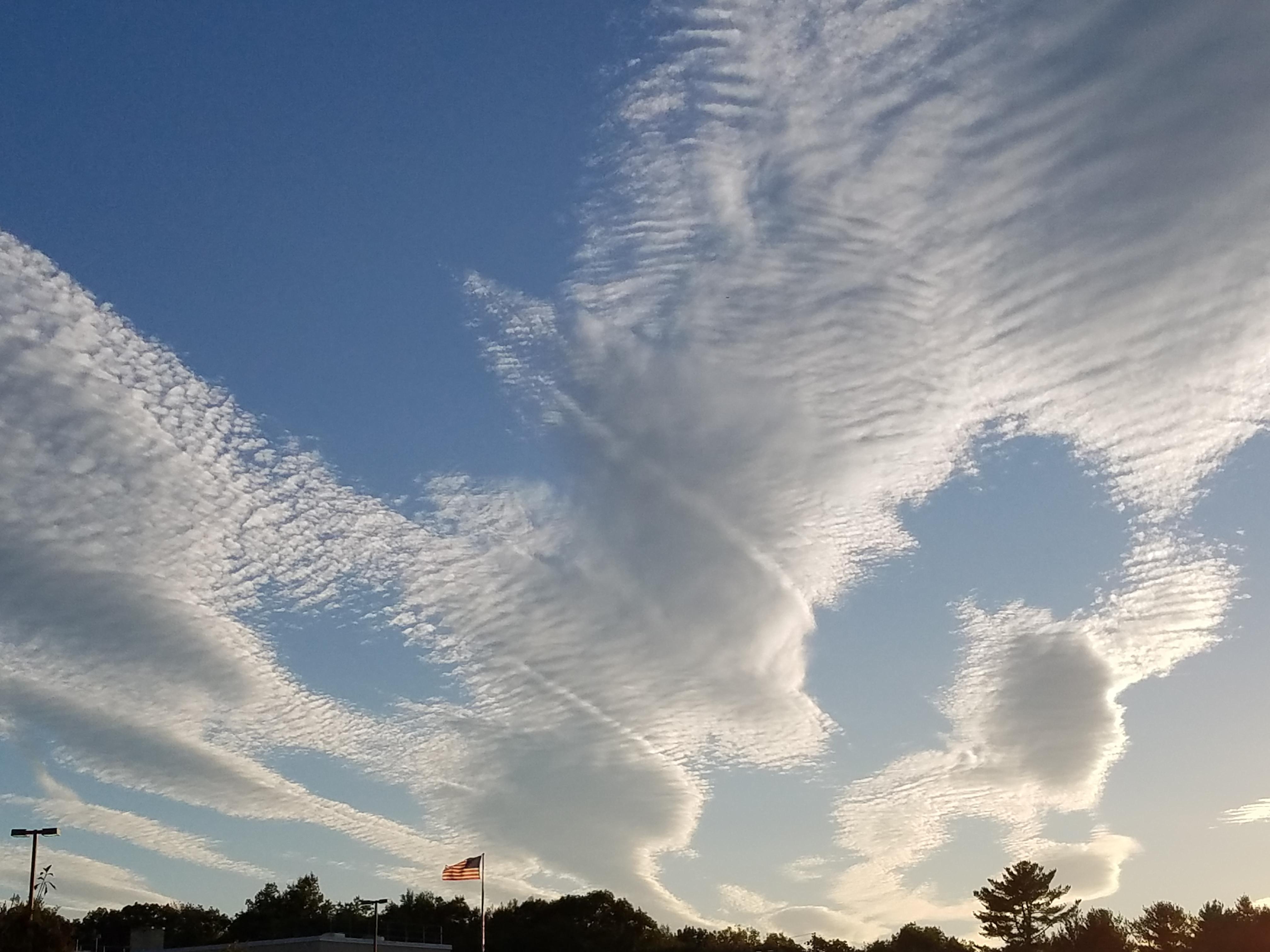 Cool clouds today! Anyone know what type they are? r/meteorology