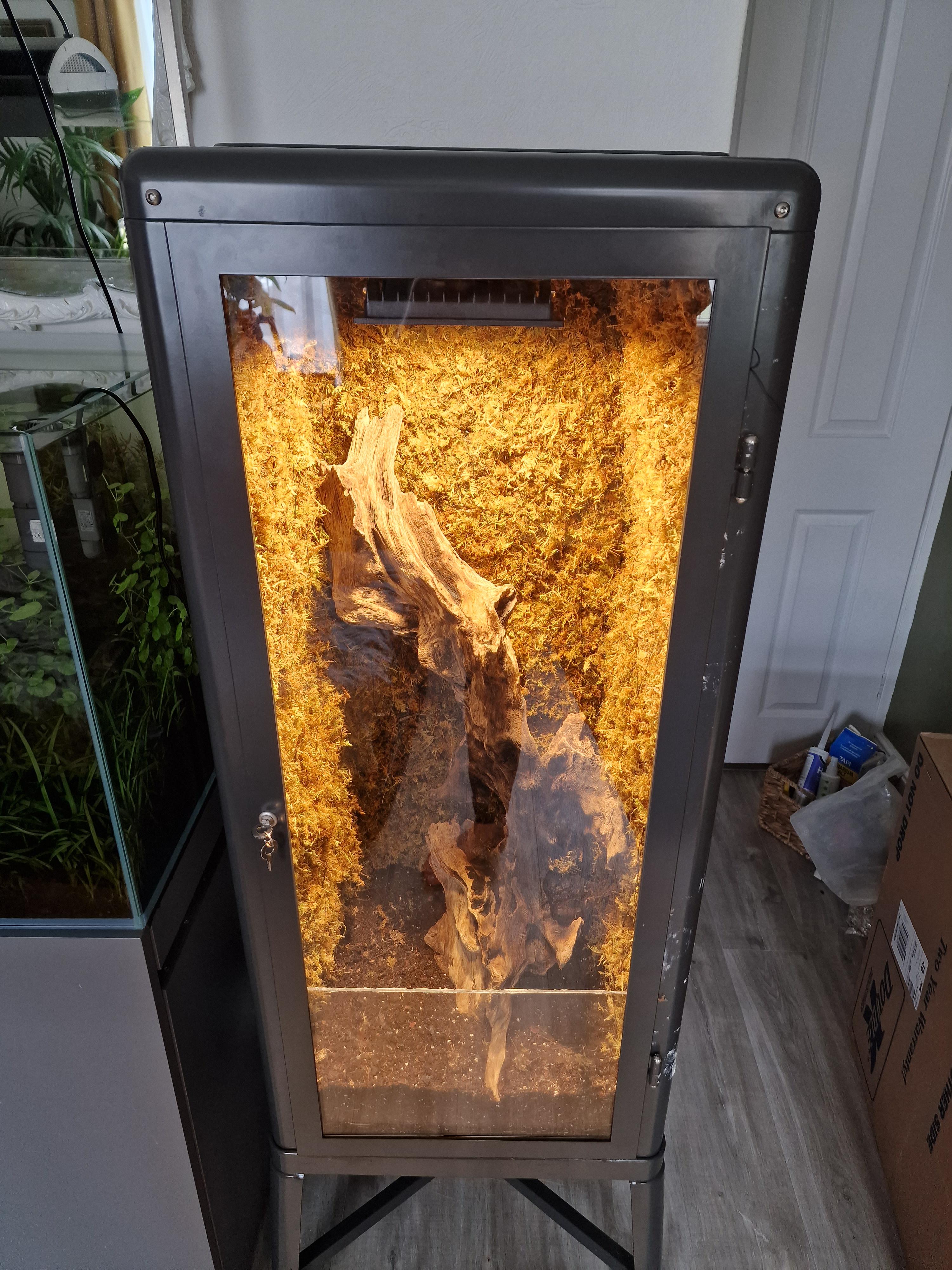 Terrarium heat : r/terrariums