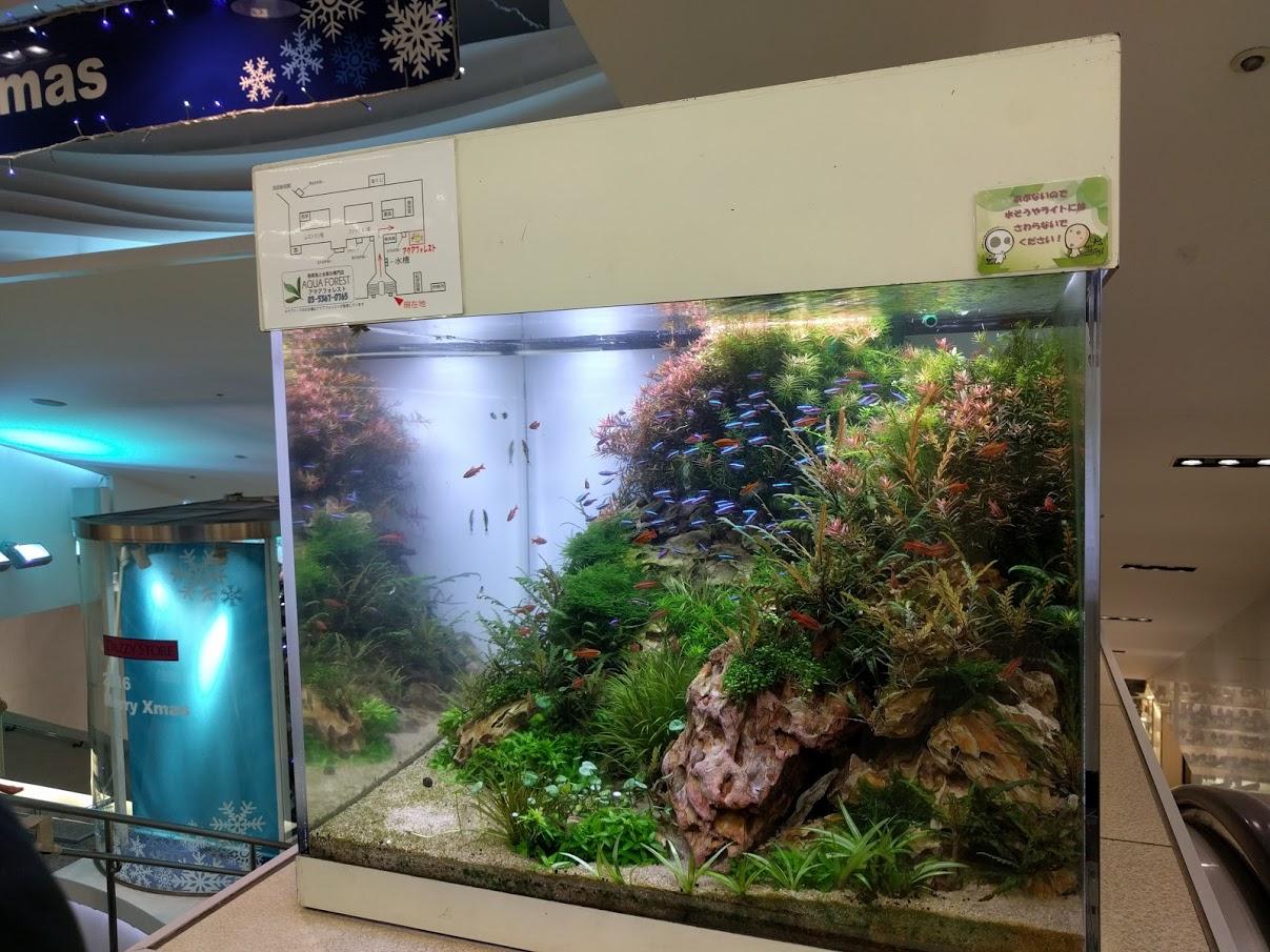 Tokyo Subway Station r/Aquariums
