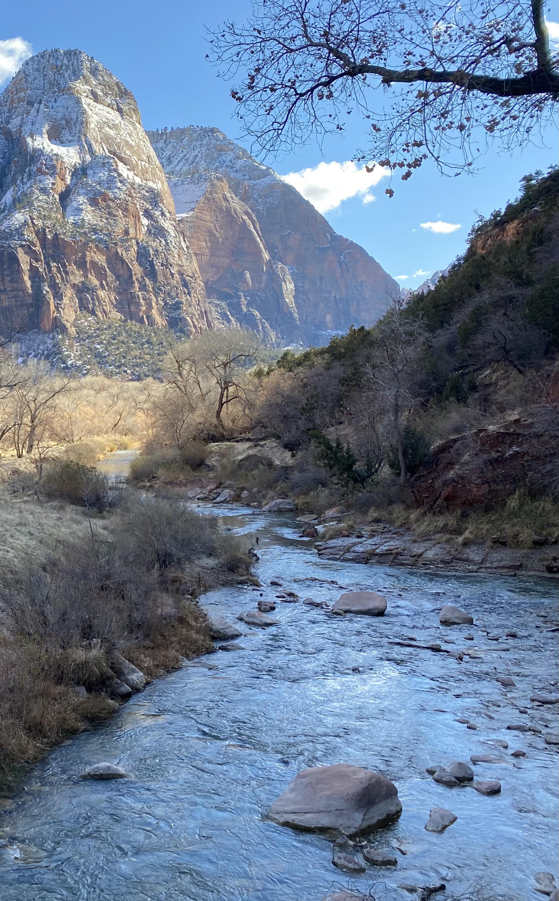 January in Zion National Park, Utah (OC) (1877 x 3024) EarthPorn