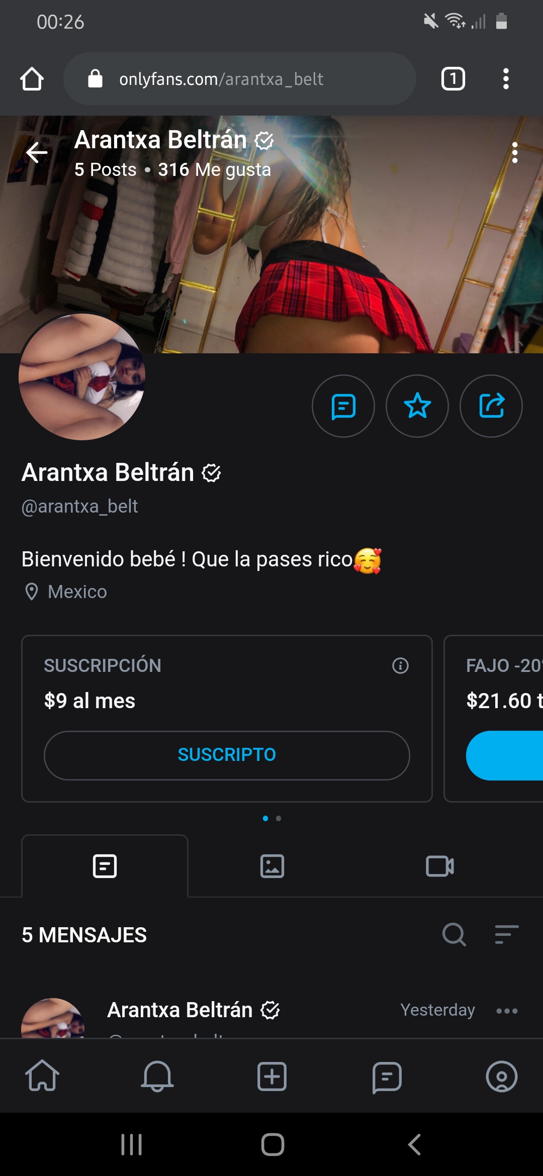 overview for elarm_mando