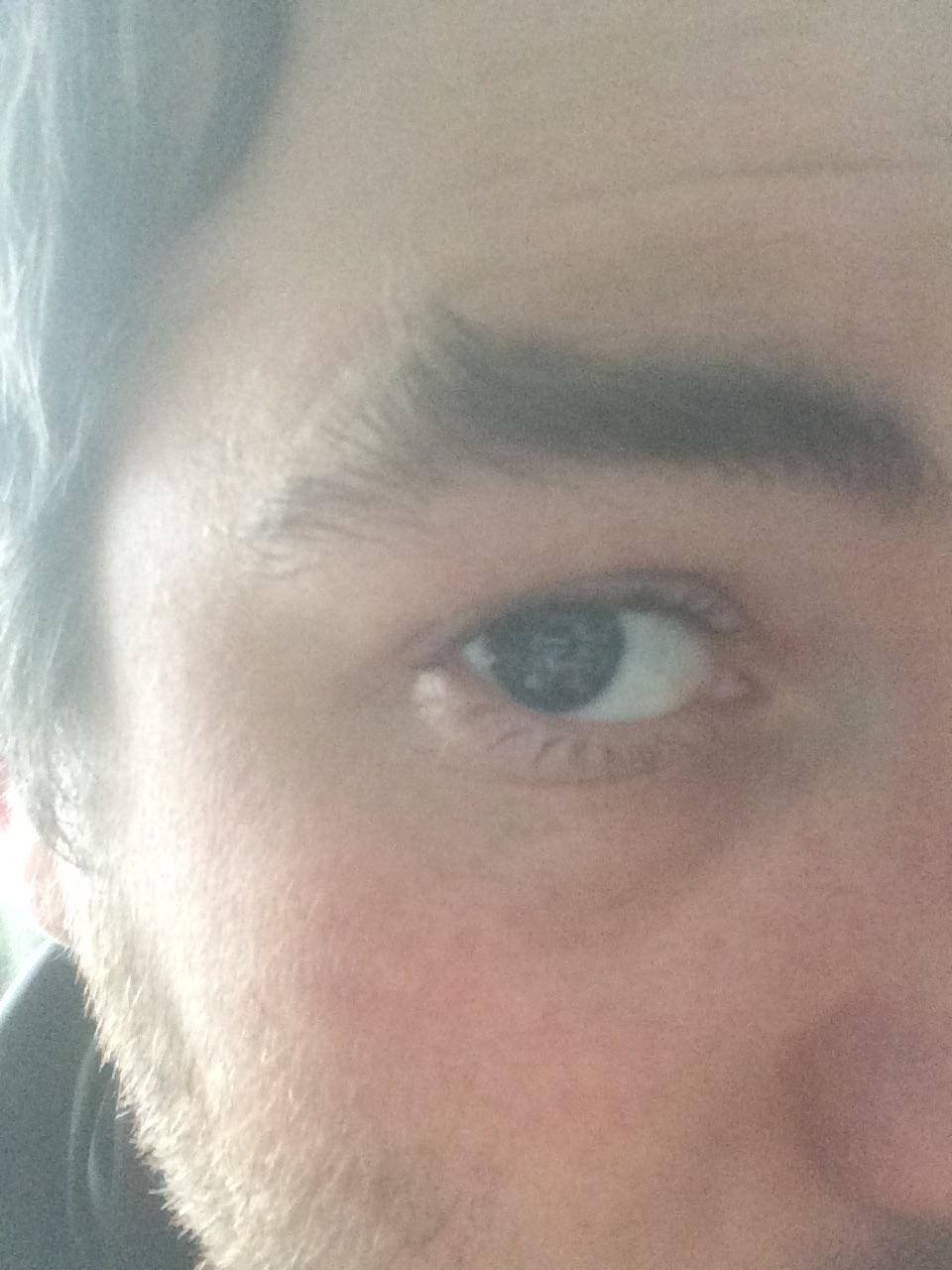 This eyebrow has a cowlick that I can't get rid of. r/mildlyinteresting