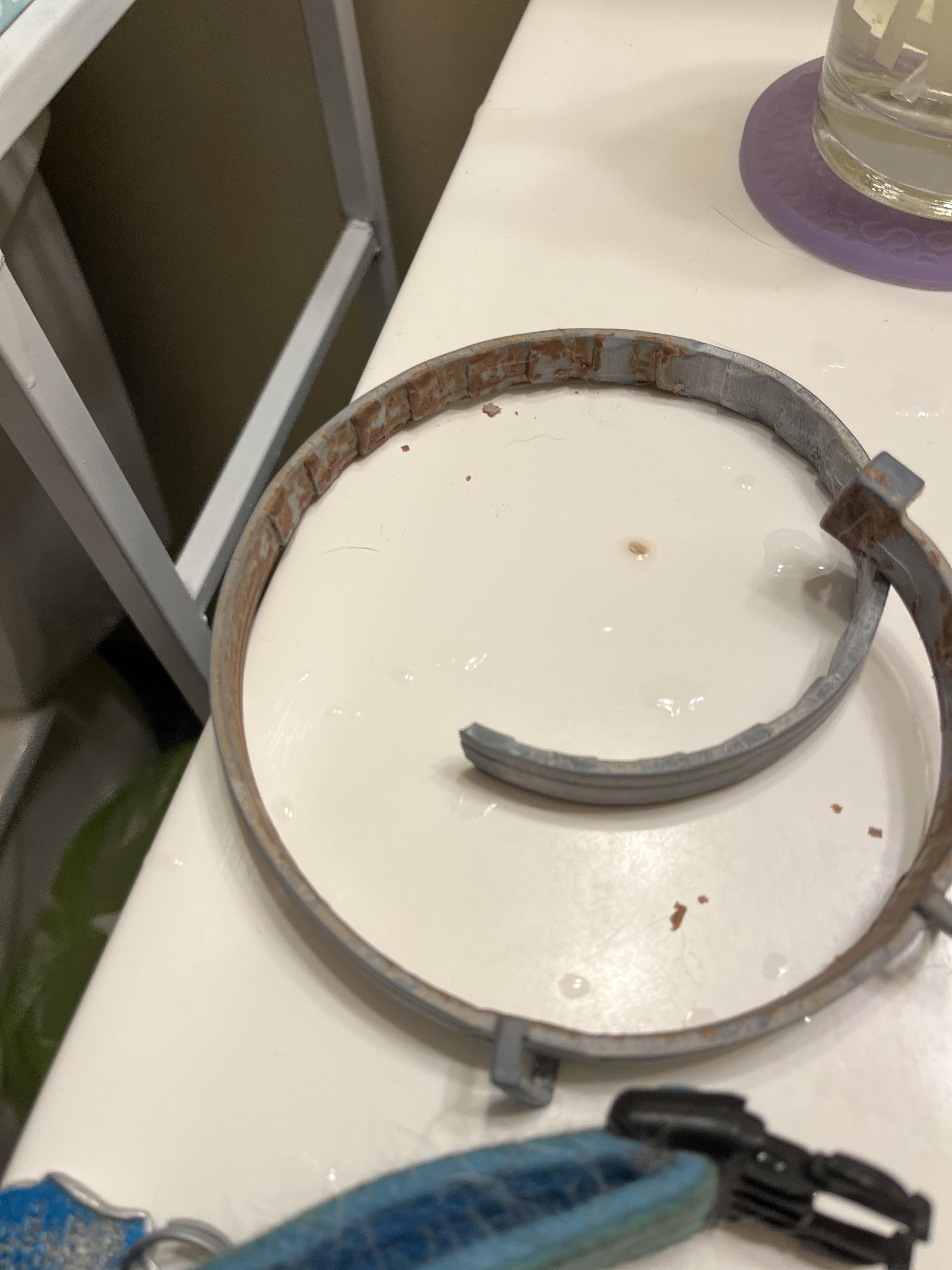 Took off my dog’s Seresto Flea and Tick collar to give her a bath