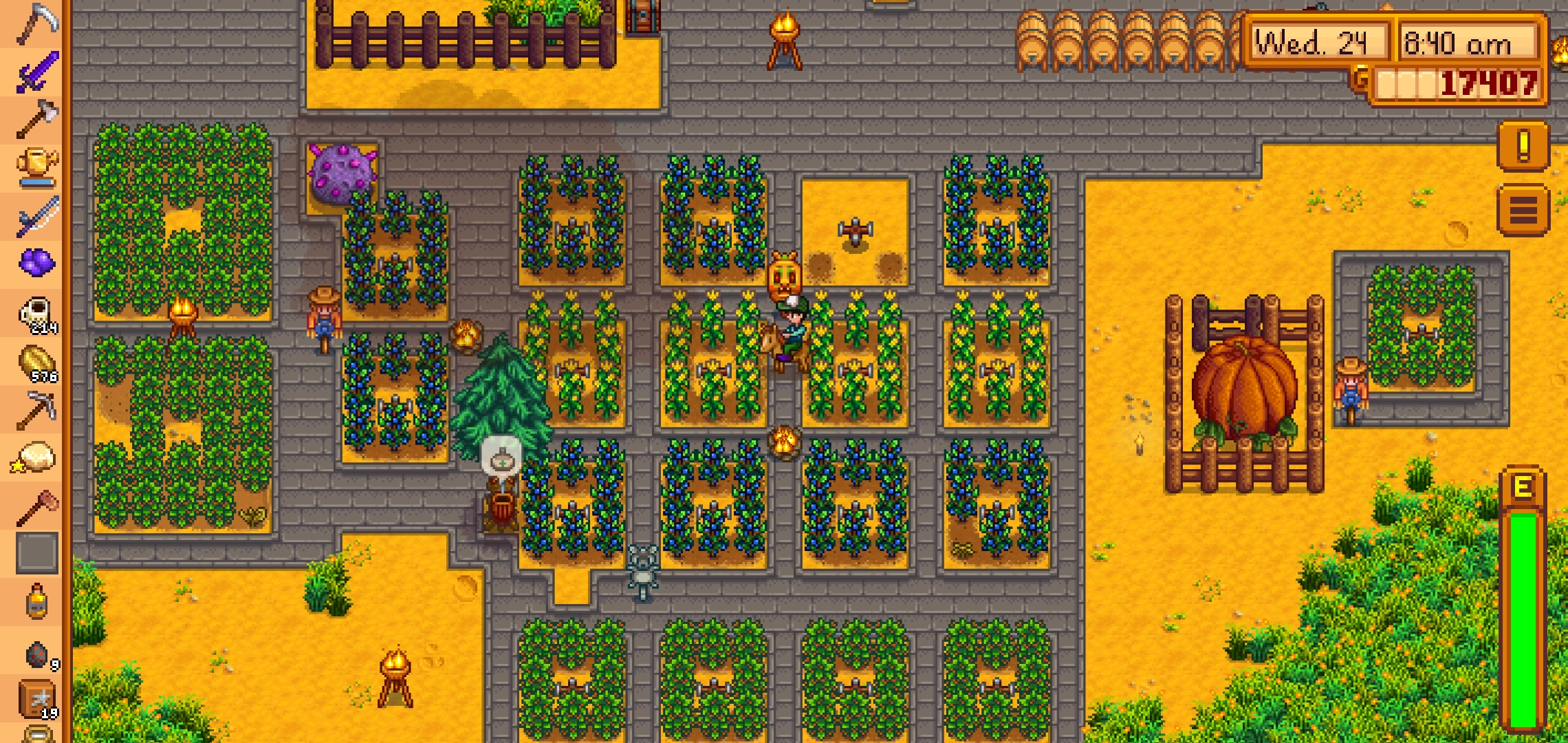 Harvesting Day Corn , Blueberries n Coffee Beans 🍂🍁 r/StardewValley