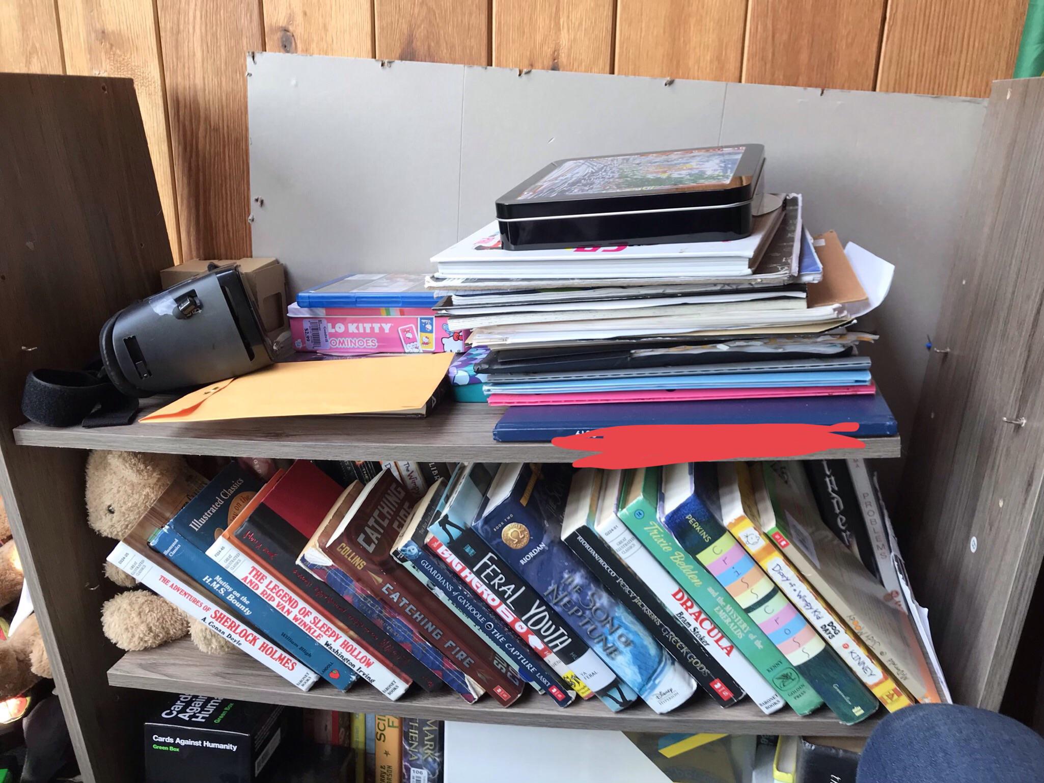 Oh hey, look my shelf broke... r/exmormon