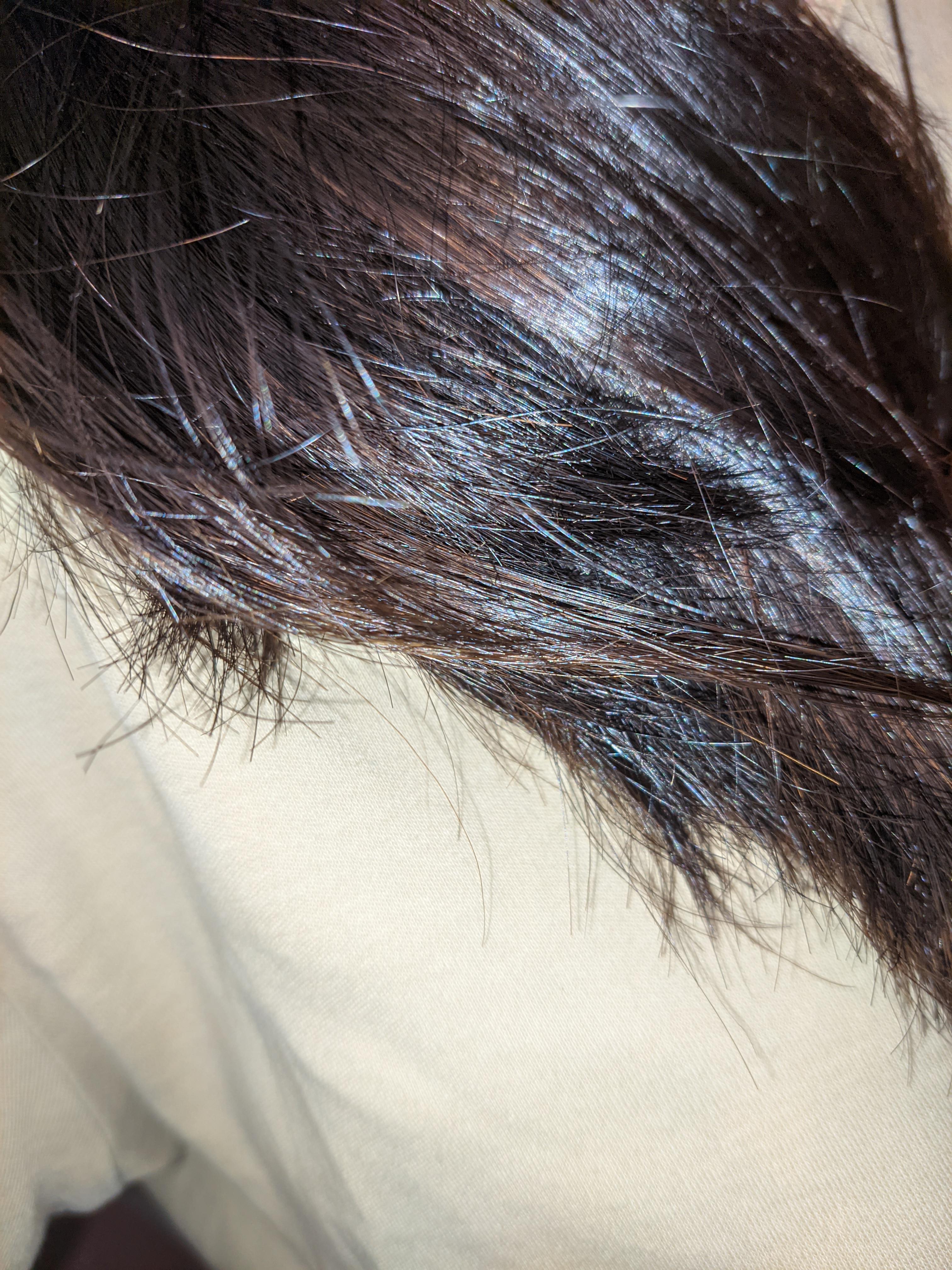 Can my hair actually get lighter with age? I'm 21. Mixed race. Used to