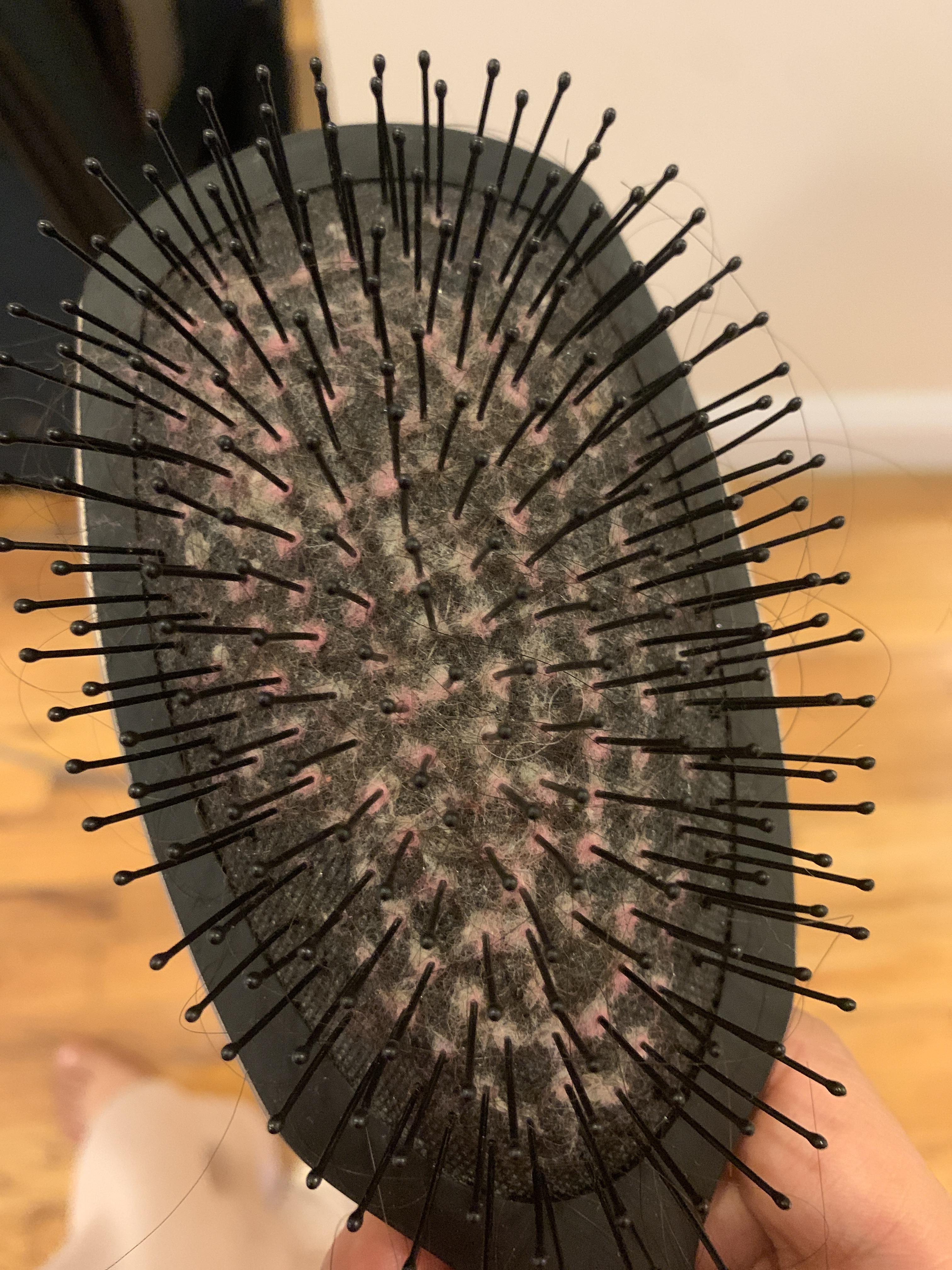 Have always hated how dirty my hairbrush is but never figured out how