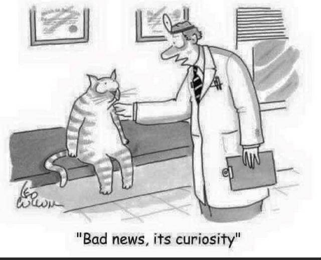 Bedside manner is an art... r/humour