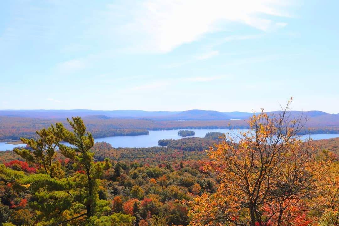 Fulton chain of lakes, Adirondack park, NY r/pics