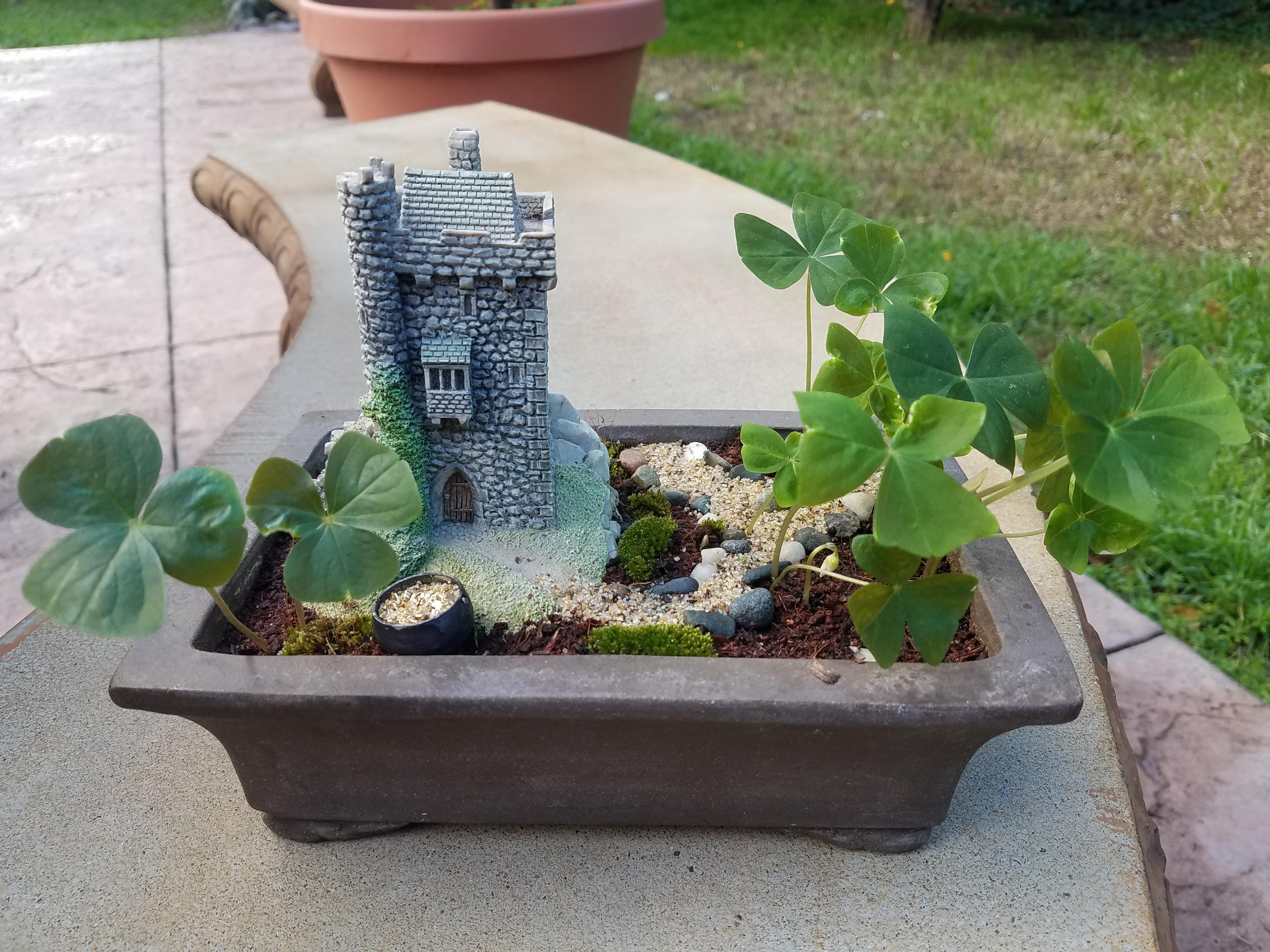 I made a miniature Irish Zen Garden for St. Patrick's Day and wanted to