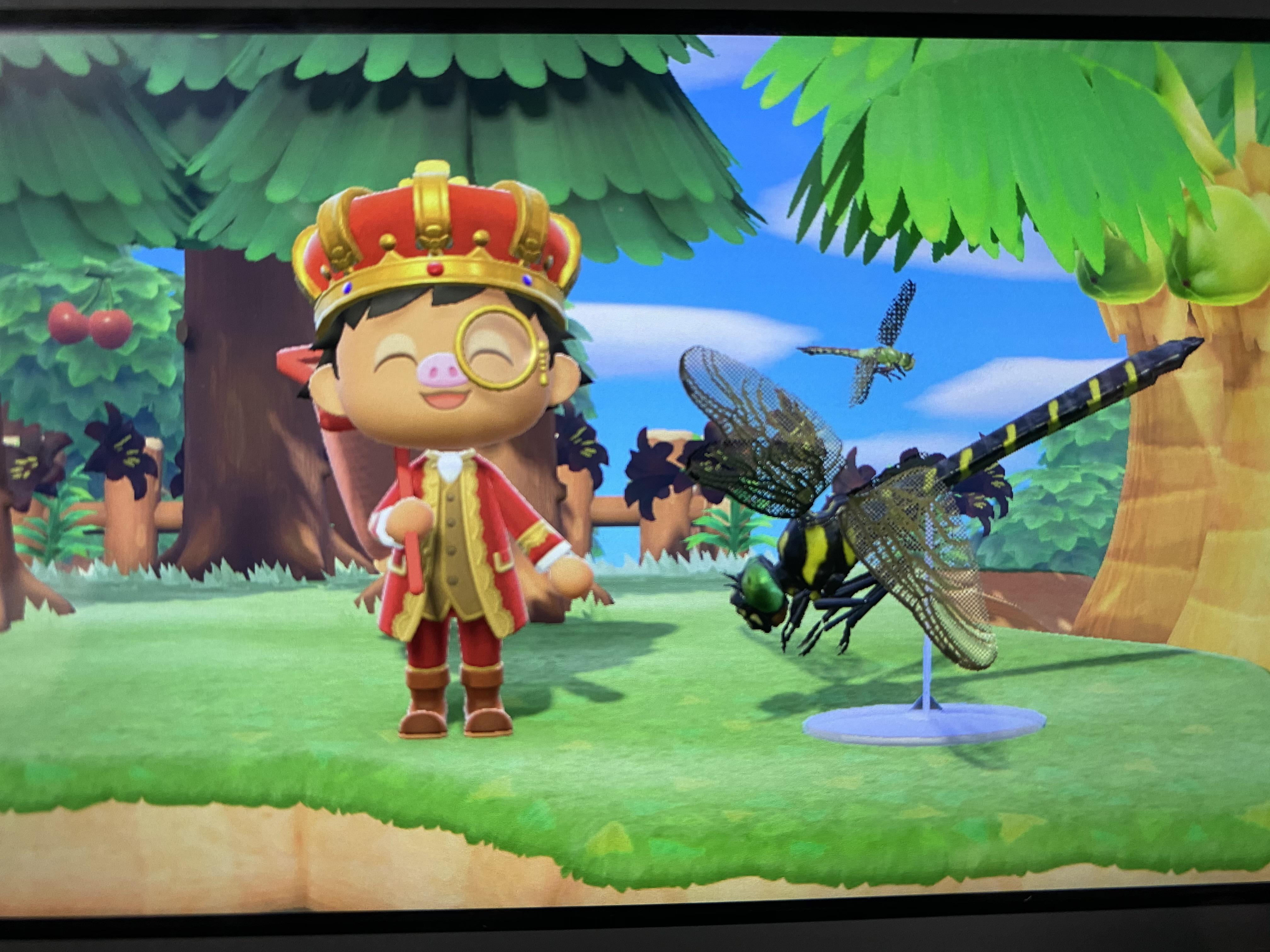 Behold, my banded dragonfly model. r/AnimalCrossing