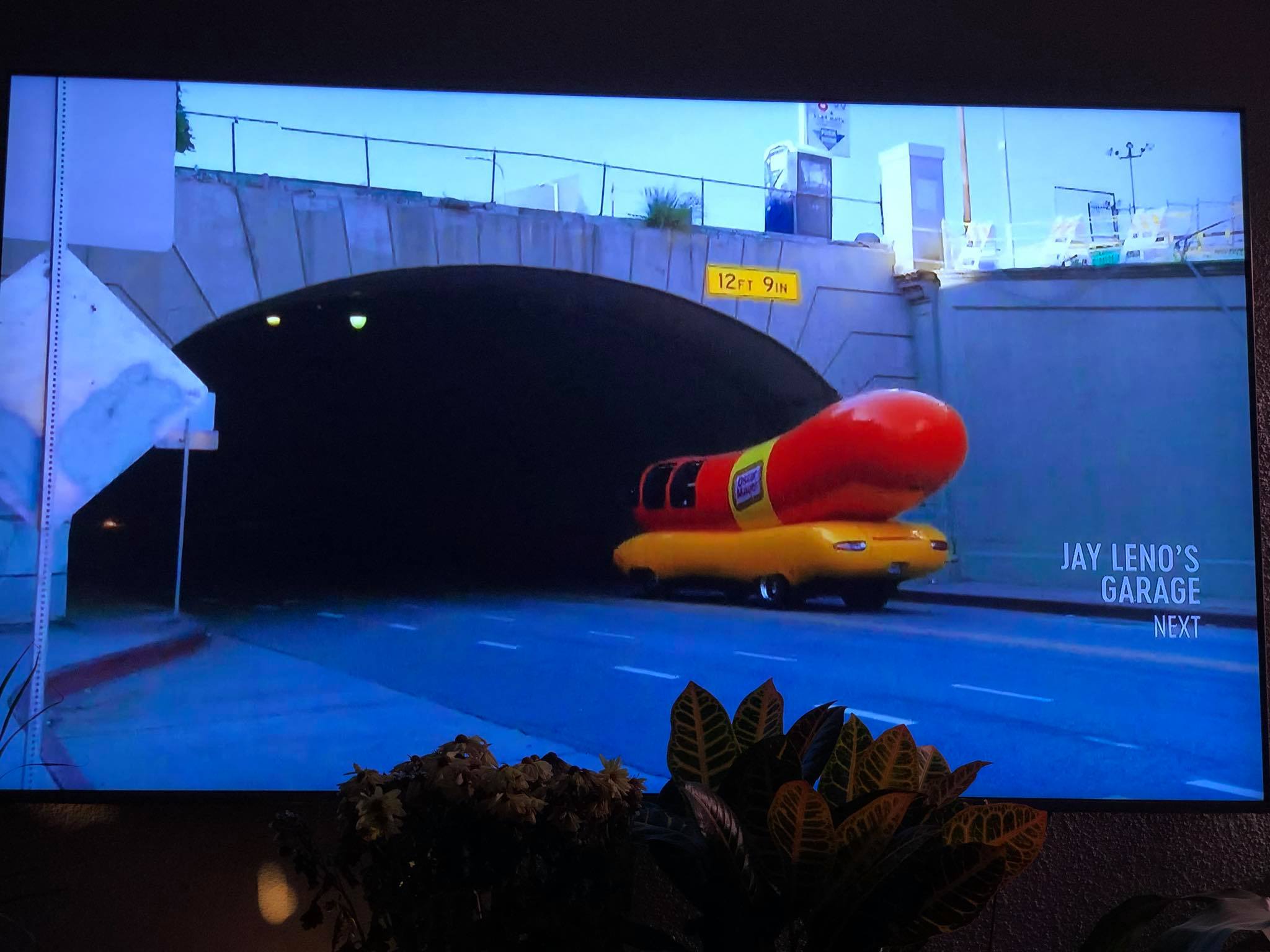 When she says she's a virgin, but... r/funny