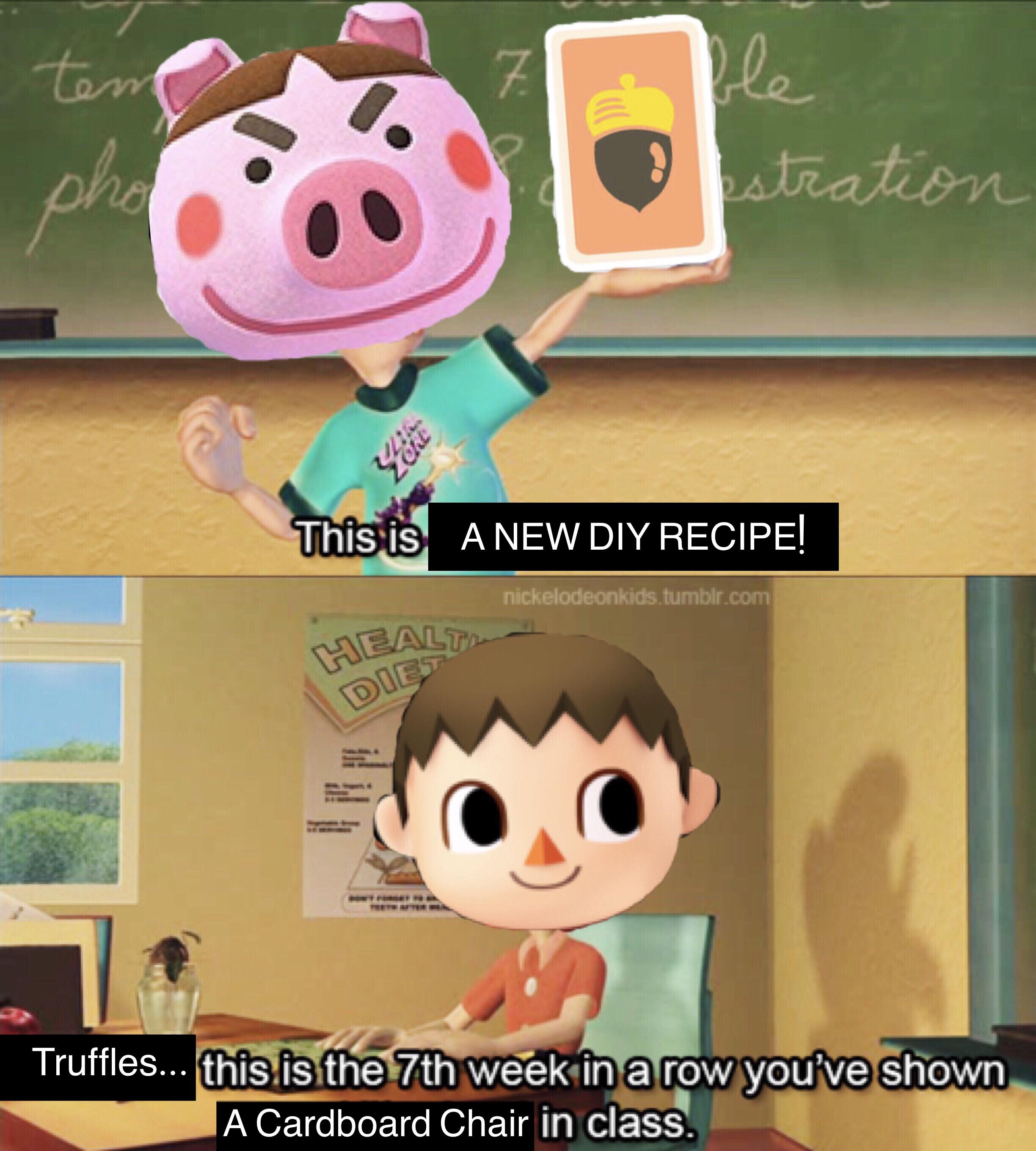 I always play Animal Crossing around 11 AM. Truffles is always in her