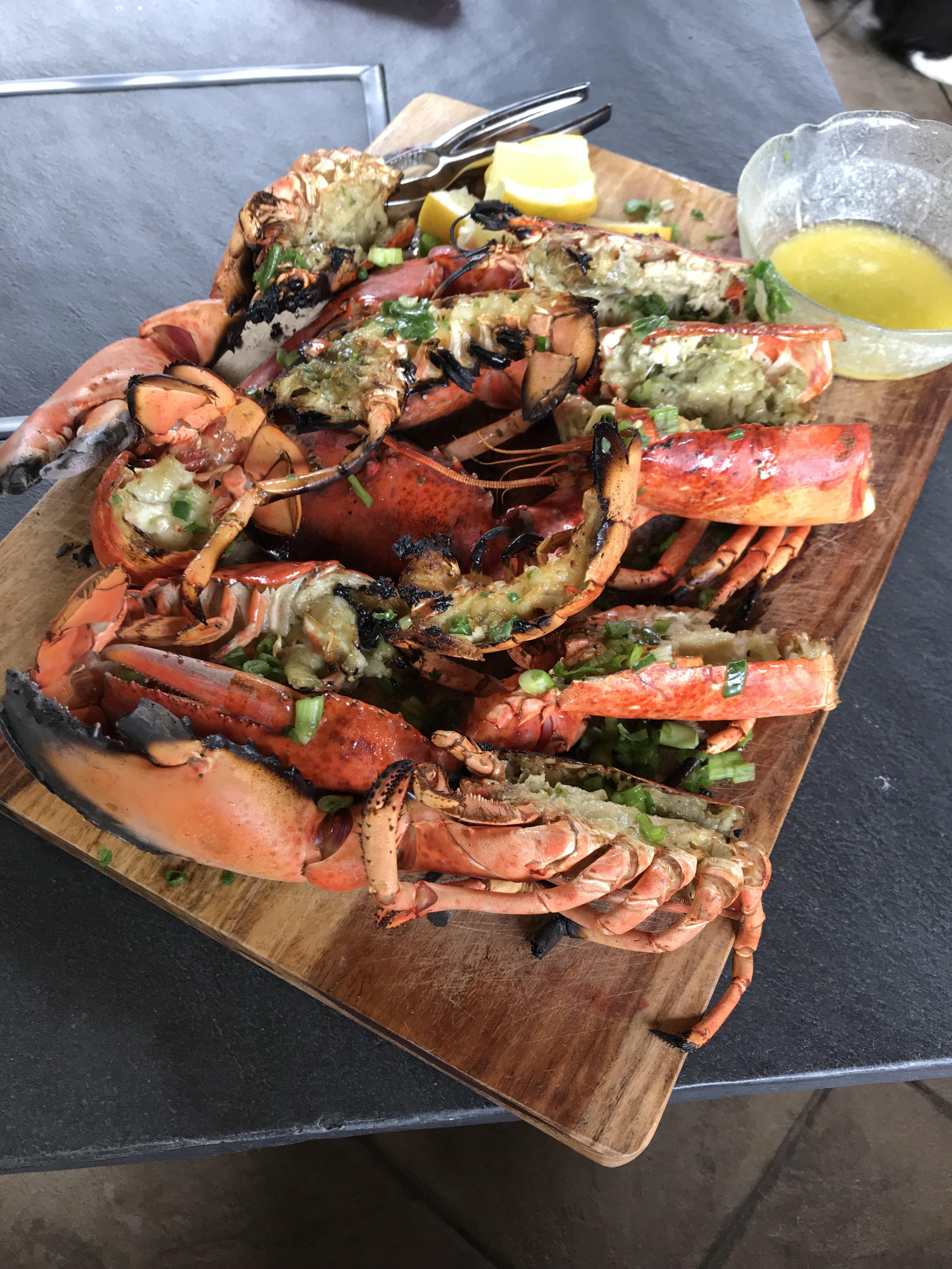 Was gifted some lobster from Halifax, NS today! r/FoodPorn