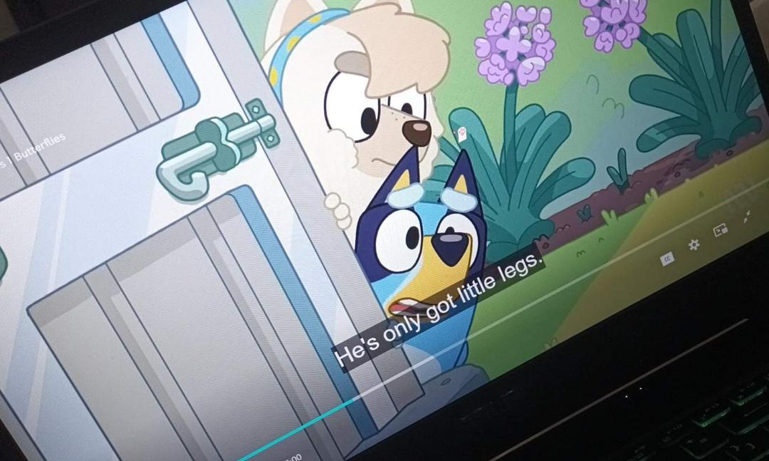 I noticed in episode butterfly Bluey refers to Bingo as male pronouns