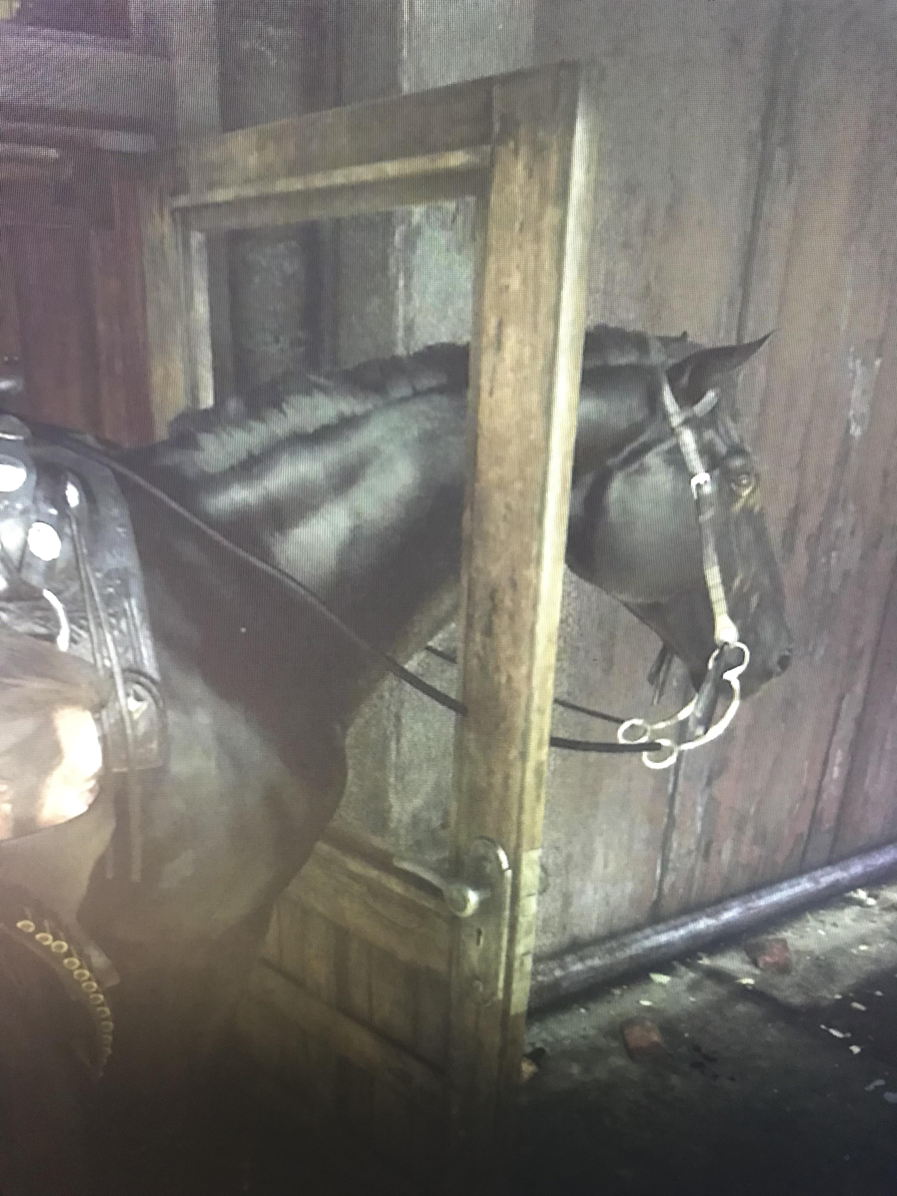 Worst Robbery Escape Ever r/RDR2