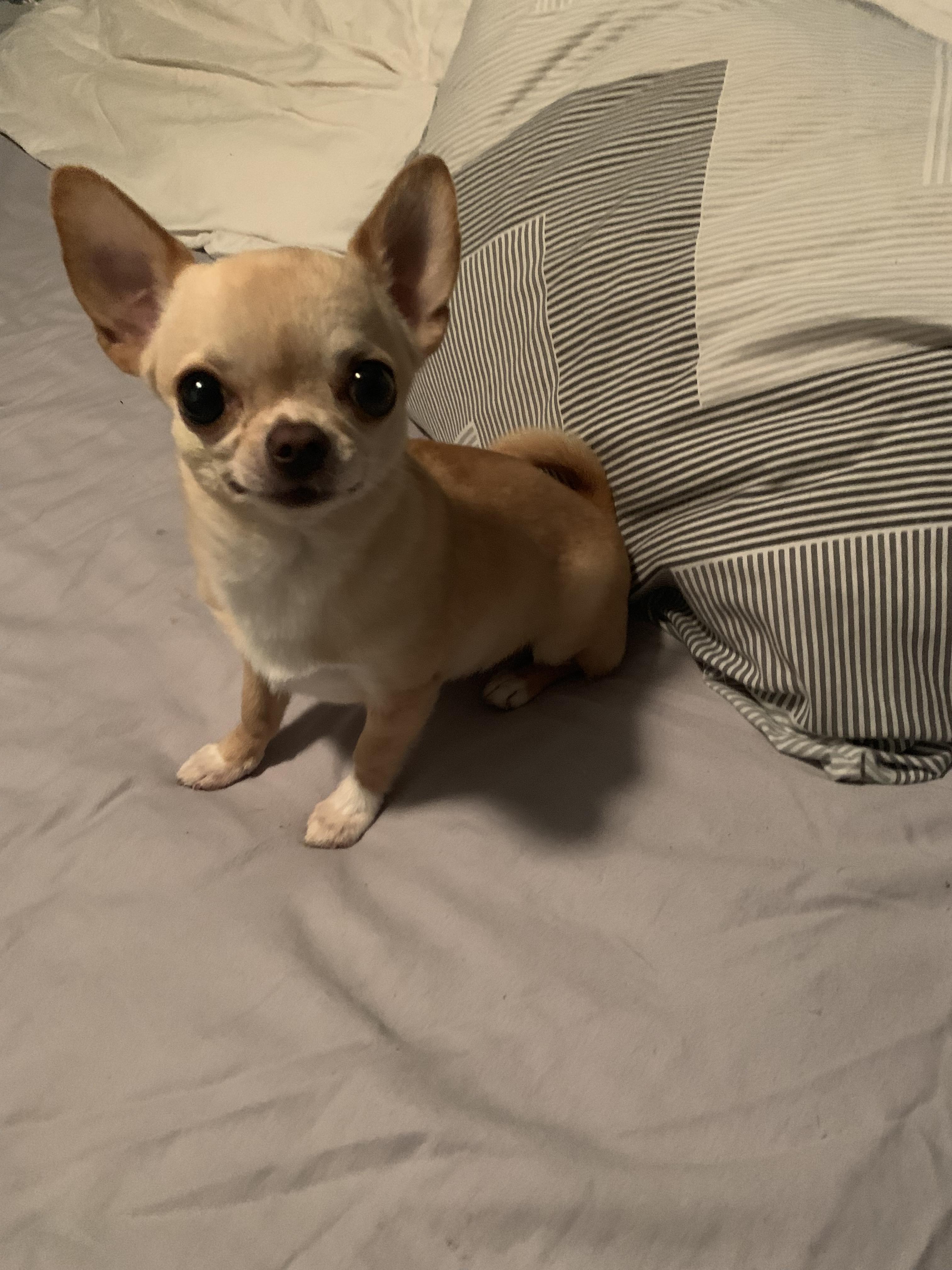 Go back to bed with those big eyed beans. Oh the time of Delilah!