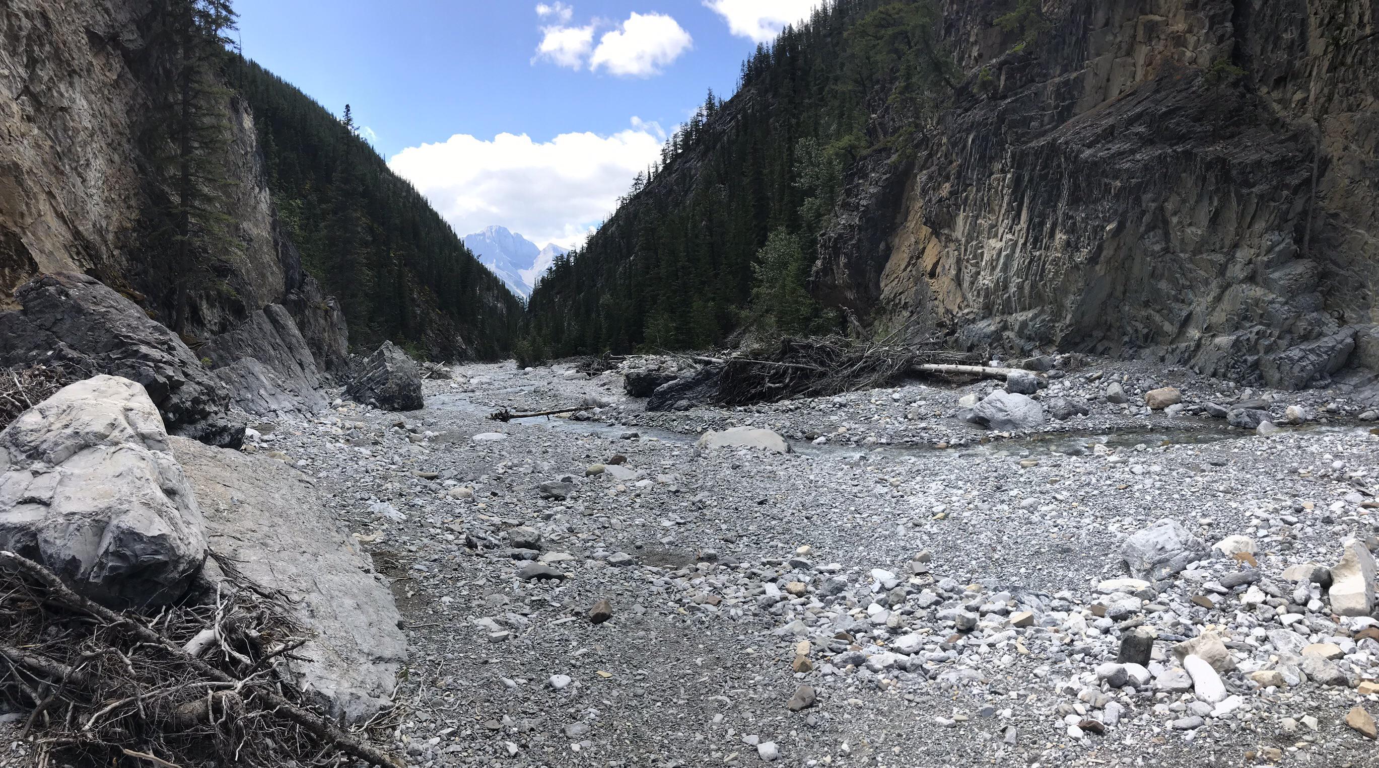 Cougar Creek Trail in Canmore r/alberta