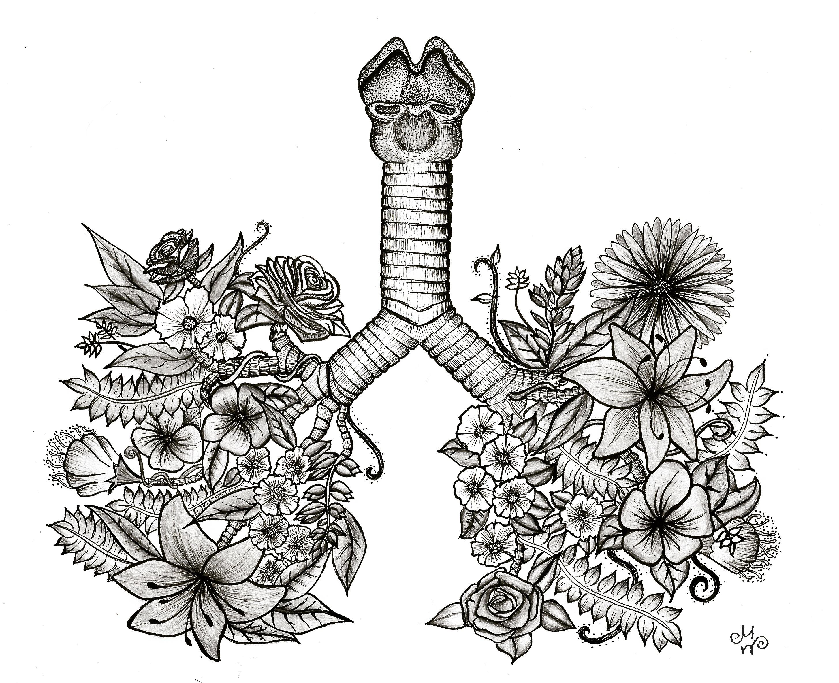 Wild flower lungs r/drawing